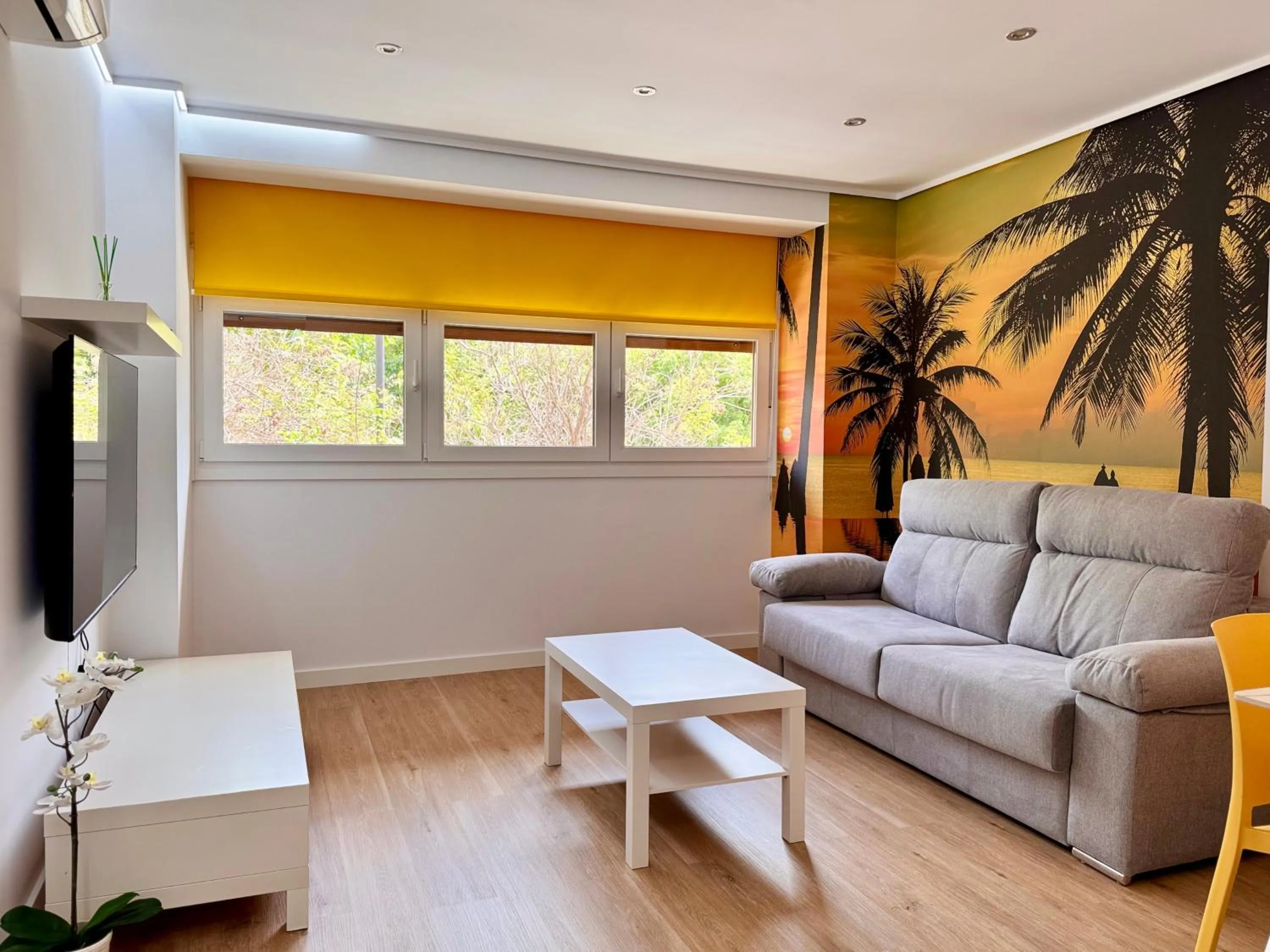 Color Suites Alicante