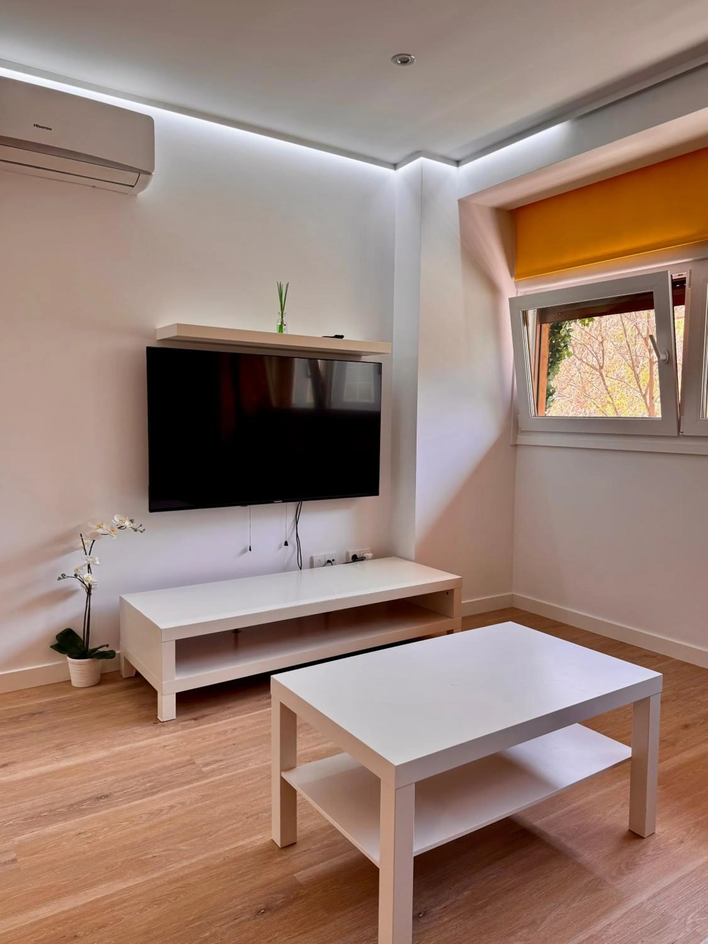 Color Suites Alicante