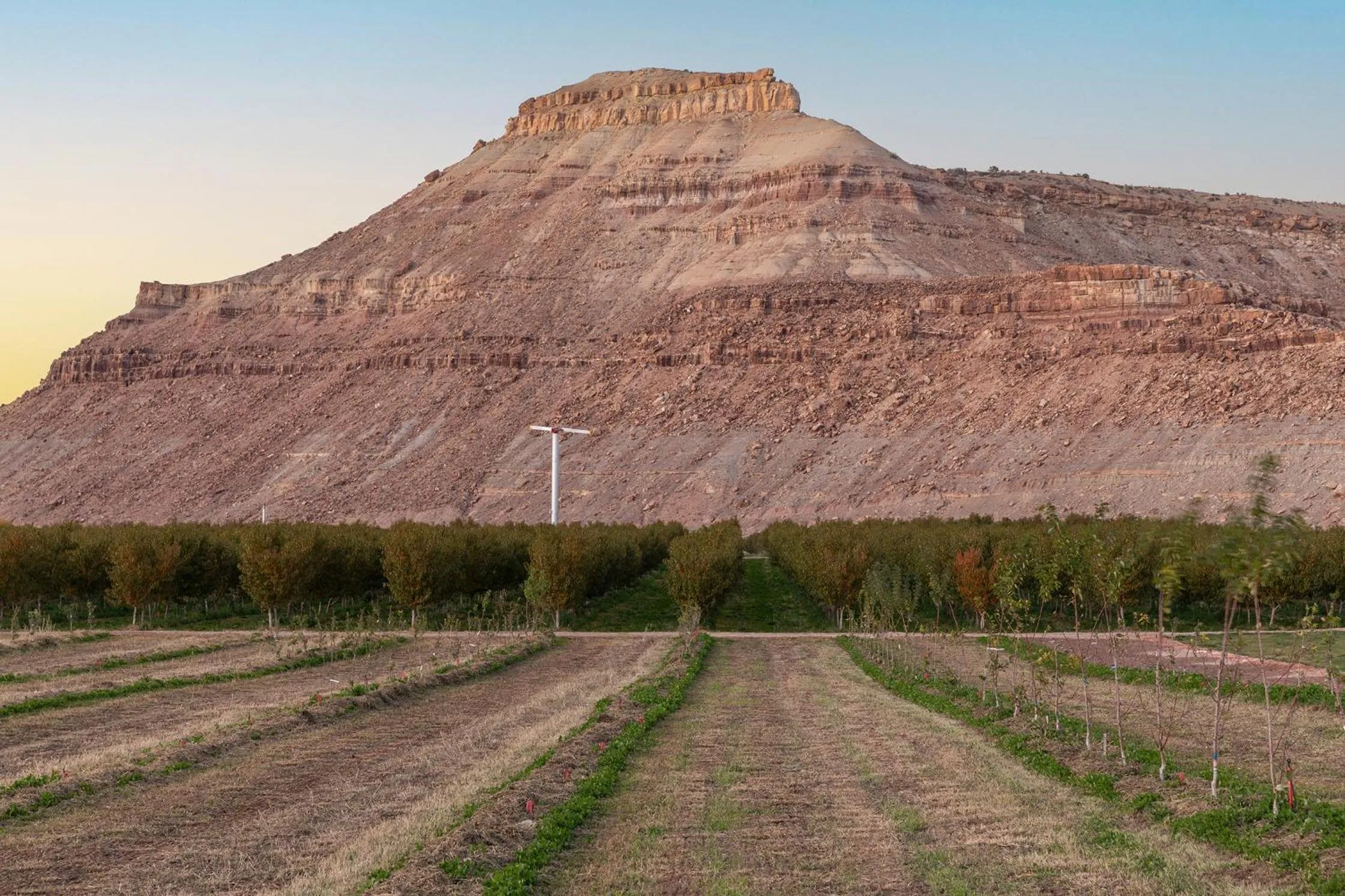 Honey Rock Landing