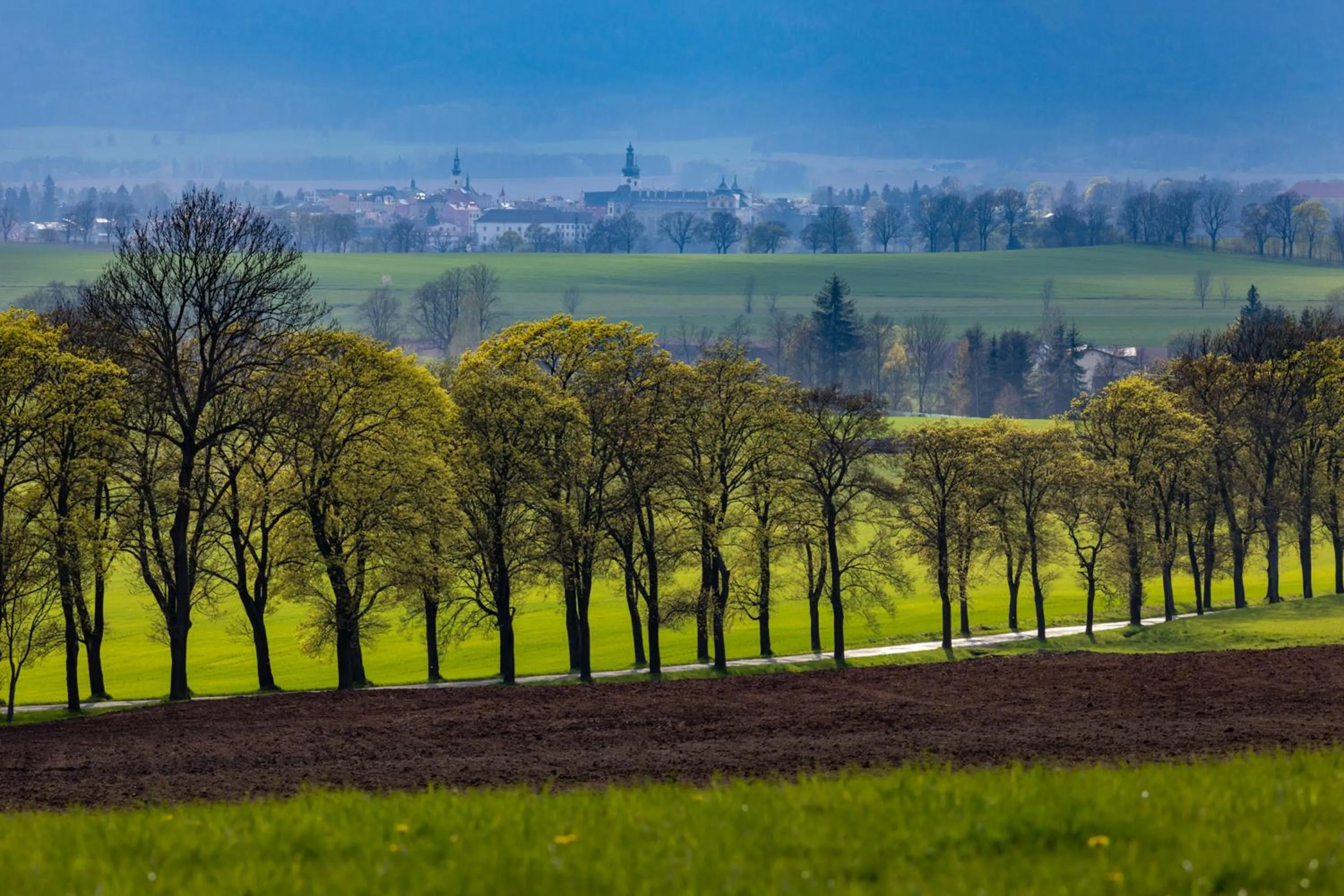 Natural landscape in Dům Hostů Klášter Broumov