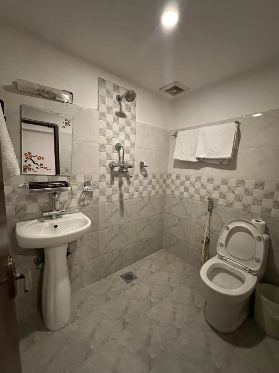 Bathroom in Hotel Everest Nepal