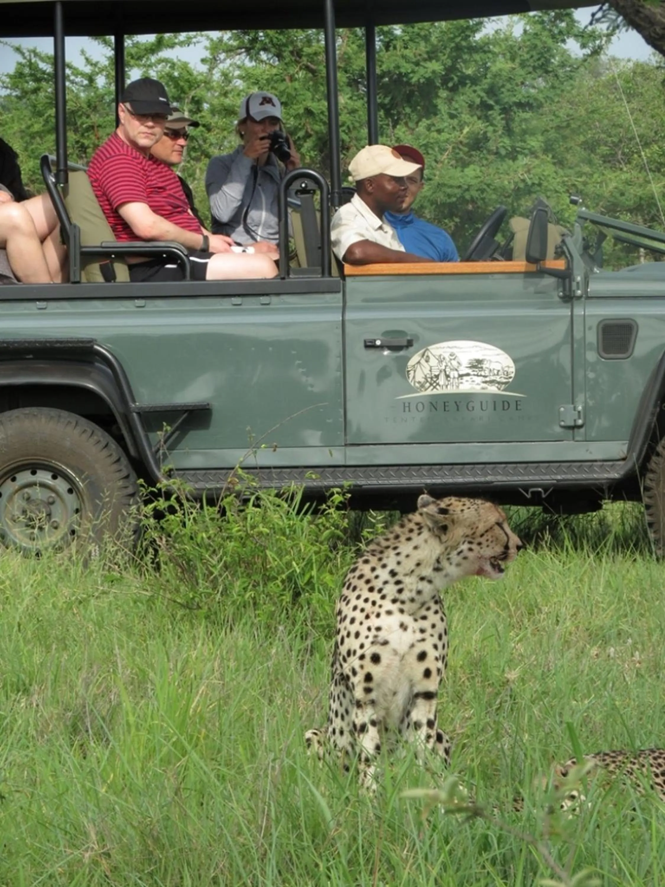 Area and facilities in Honeyguide Tented Safari Camp - Khoka Moya