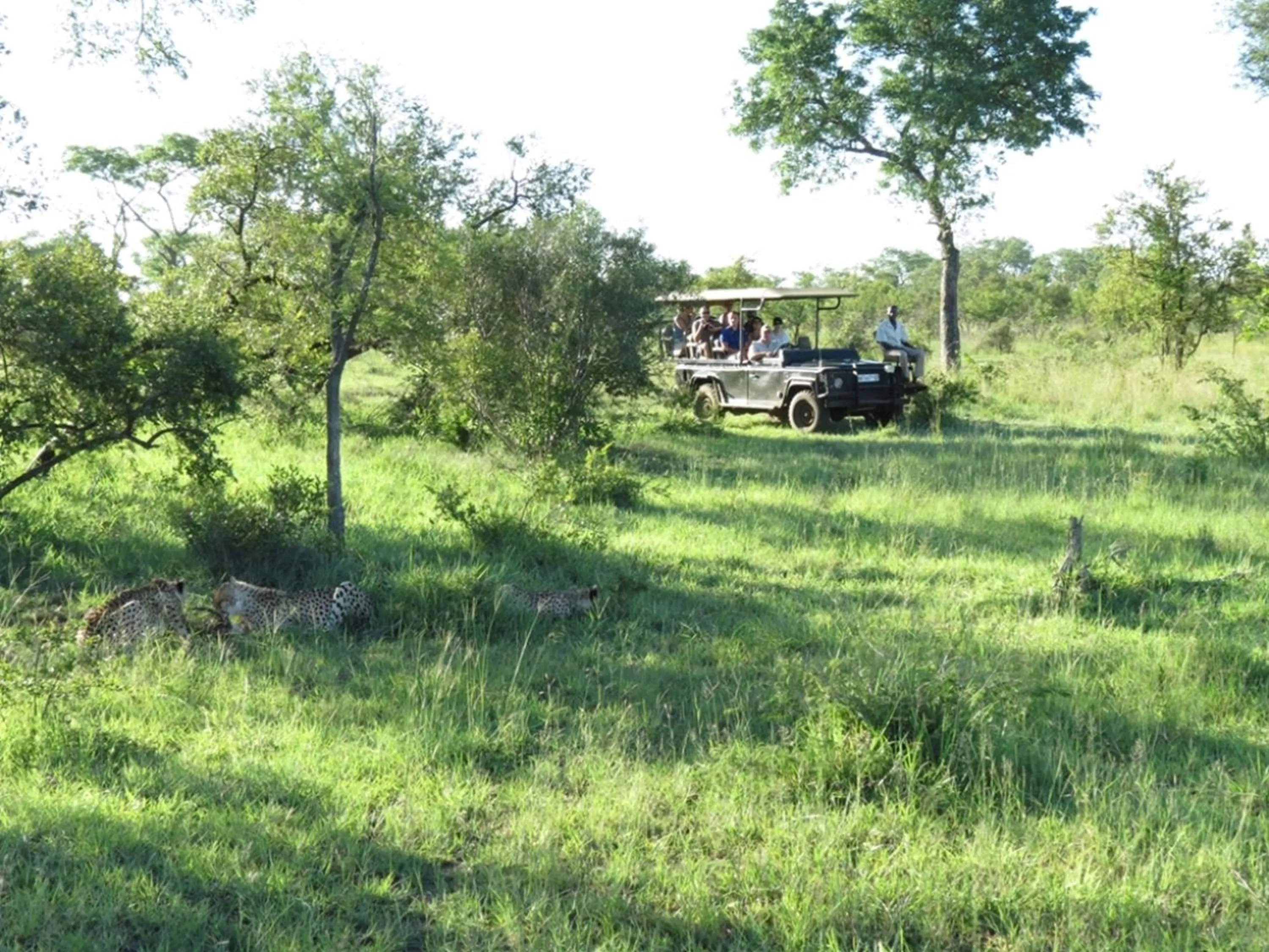 Area and facilities in Honeyguide Tented Safari Camp - Khoka Moya