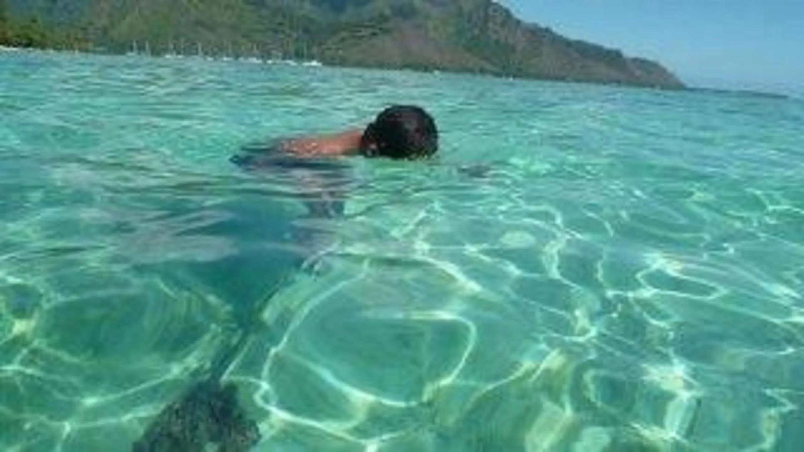 Diving in Fare Maheata