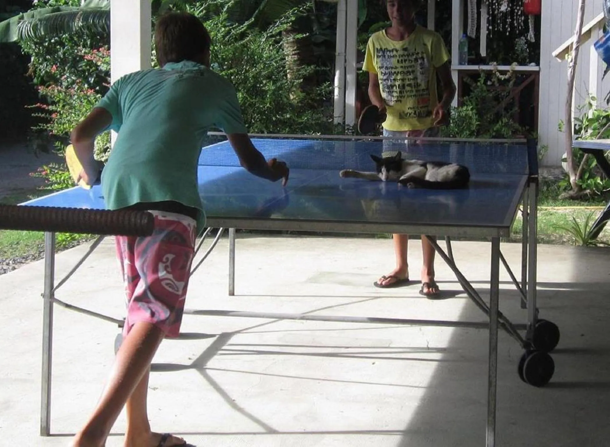 Table tennis in Fare Maheata