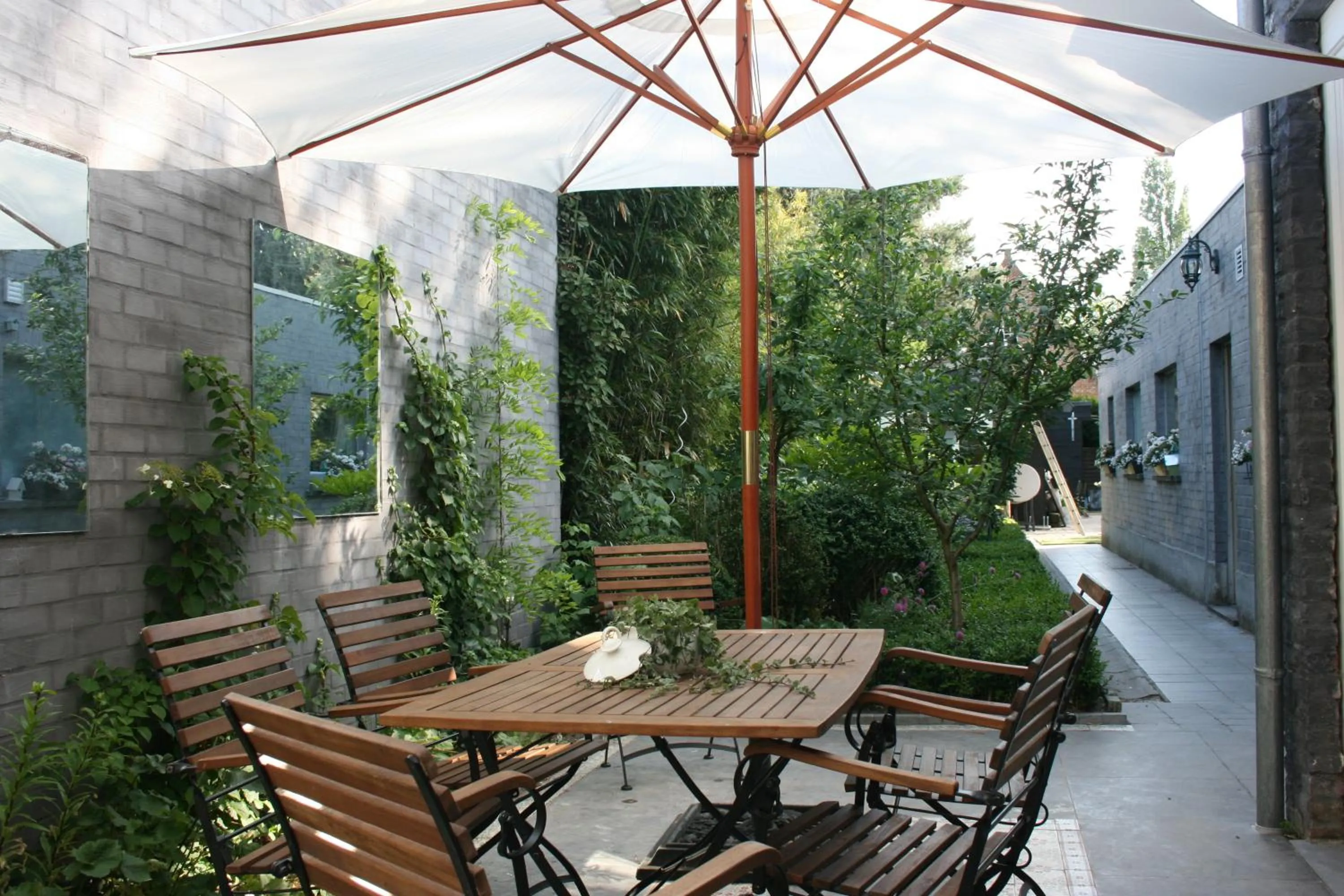 Patio in Casa Lucinda