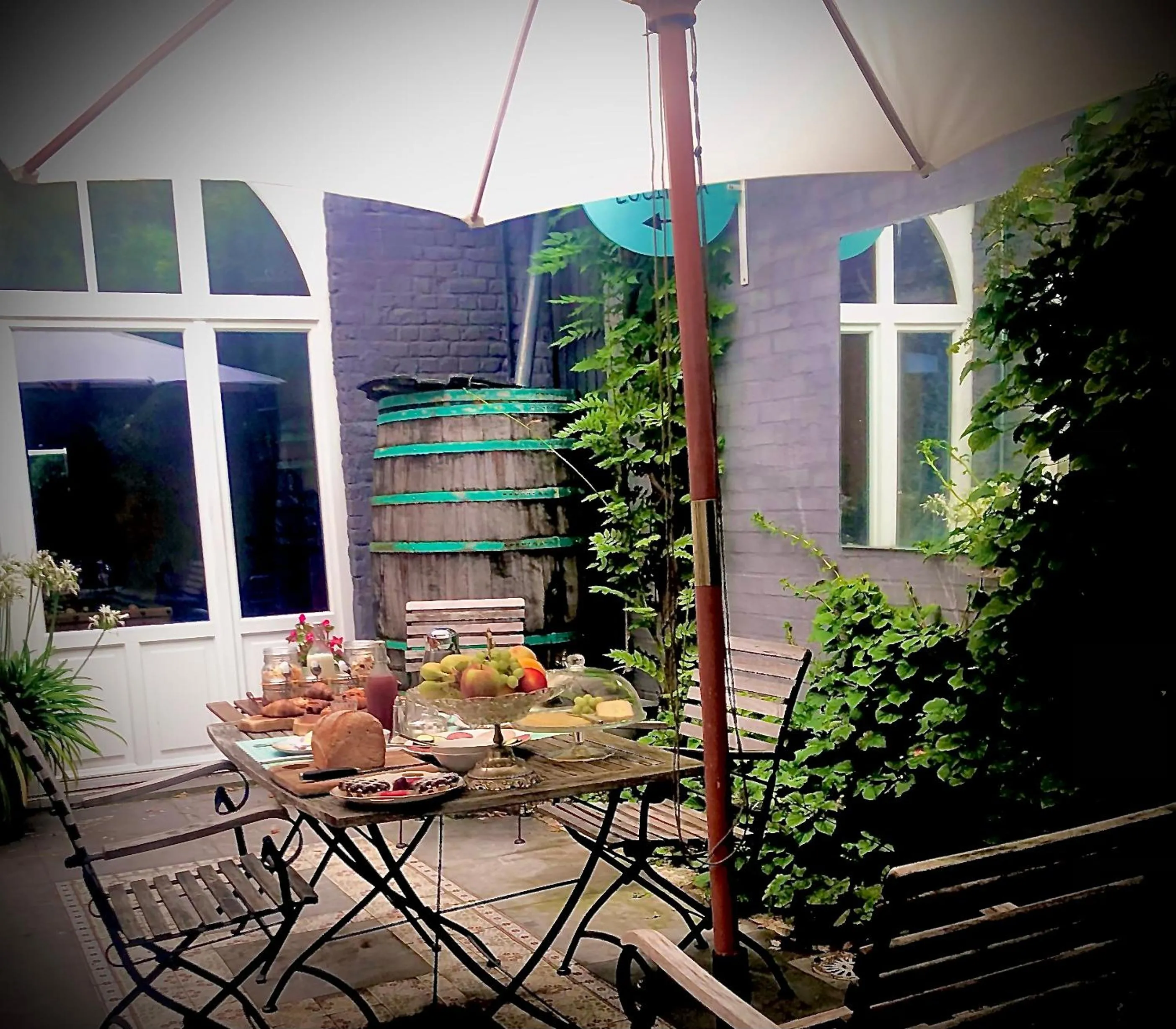Patio in Casa Lucinda
