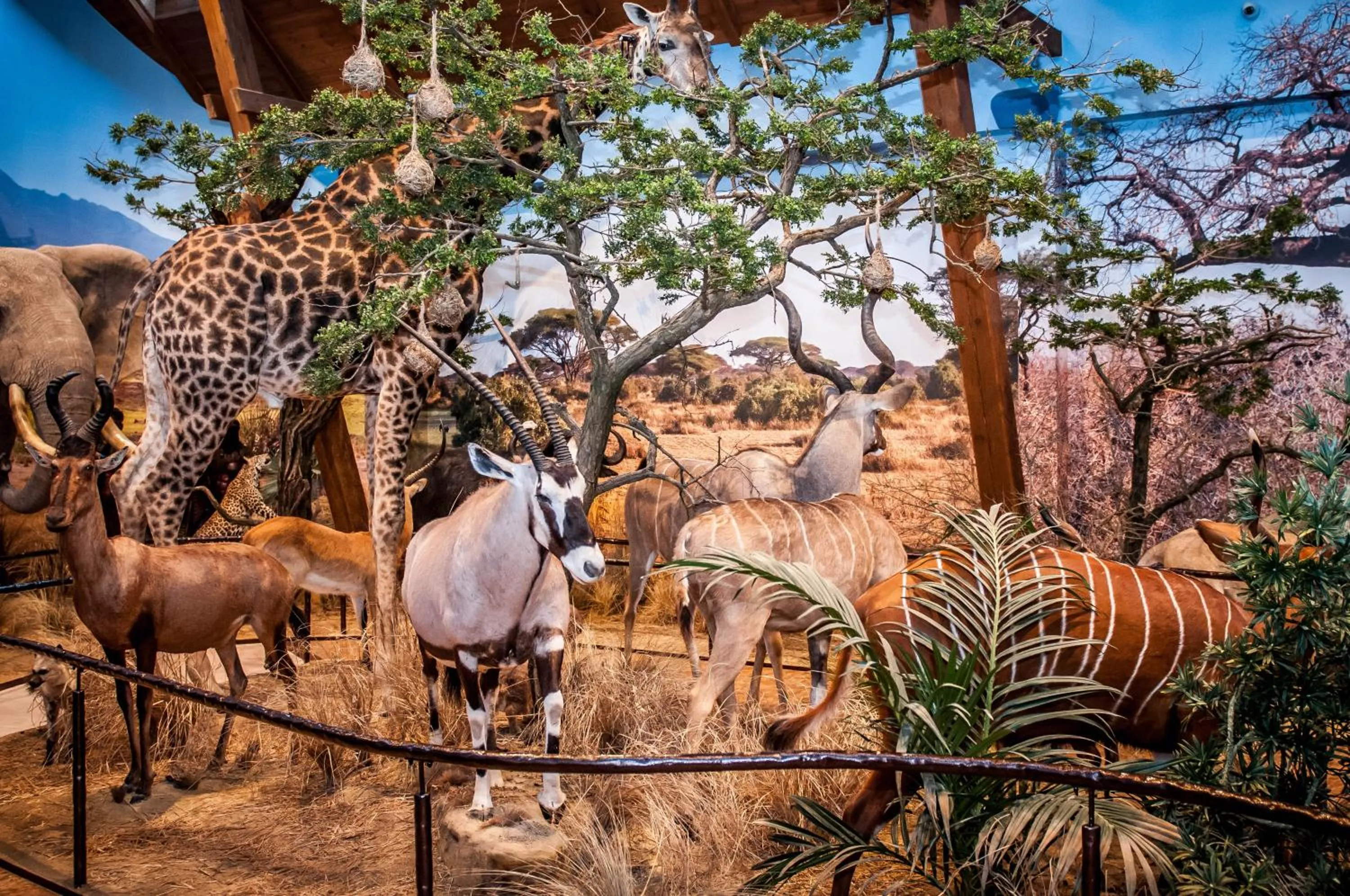 Property building in Hotel Pałac Poledno