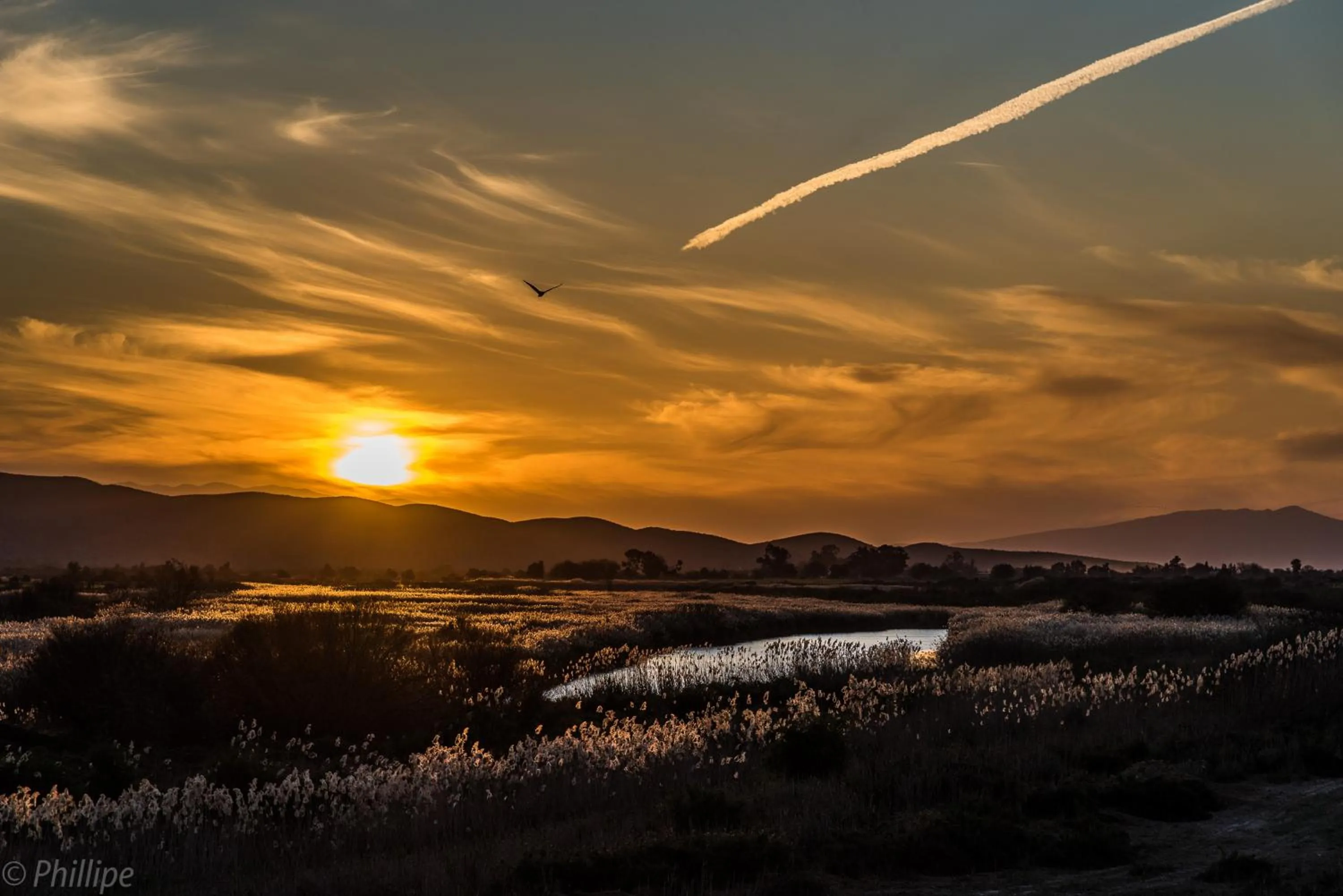 River view in De Zeekoe Guest Farm