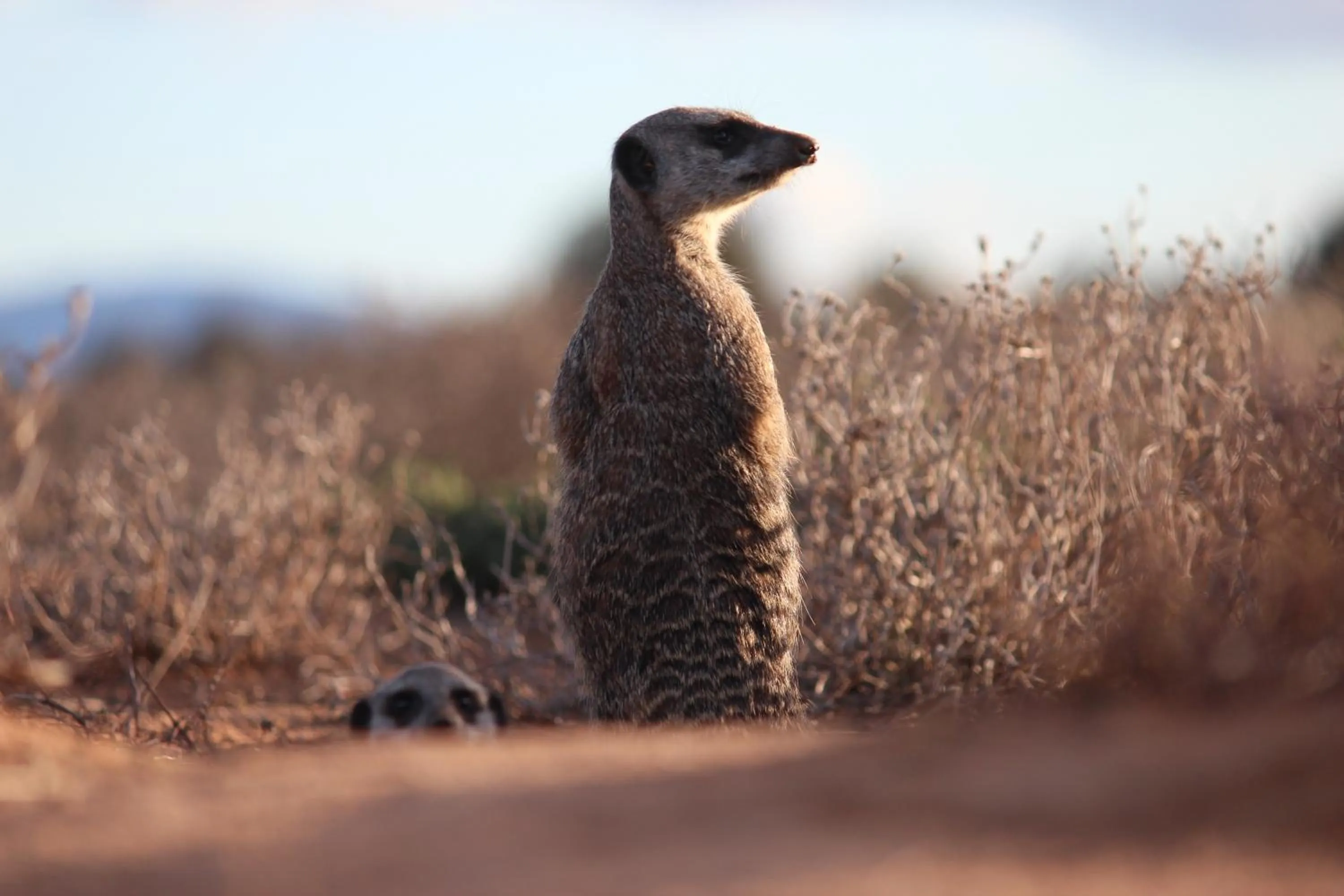 Entertainment in De Zeekoe Guest Farm