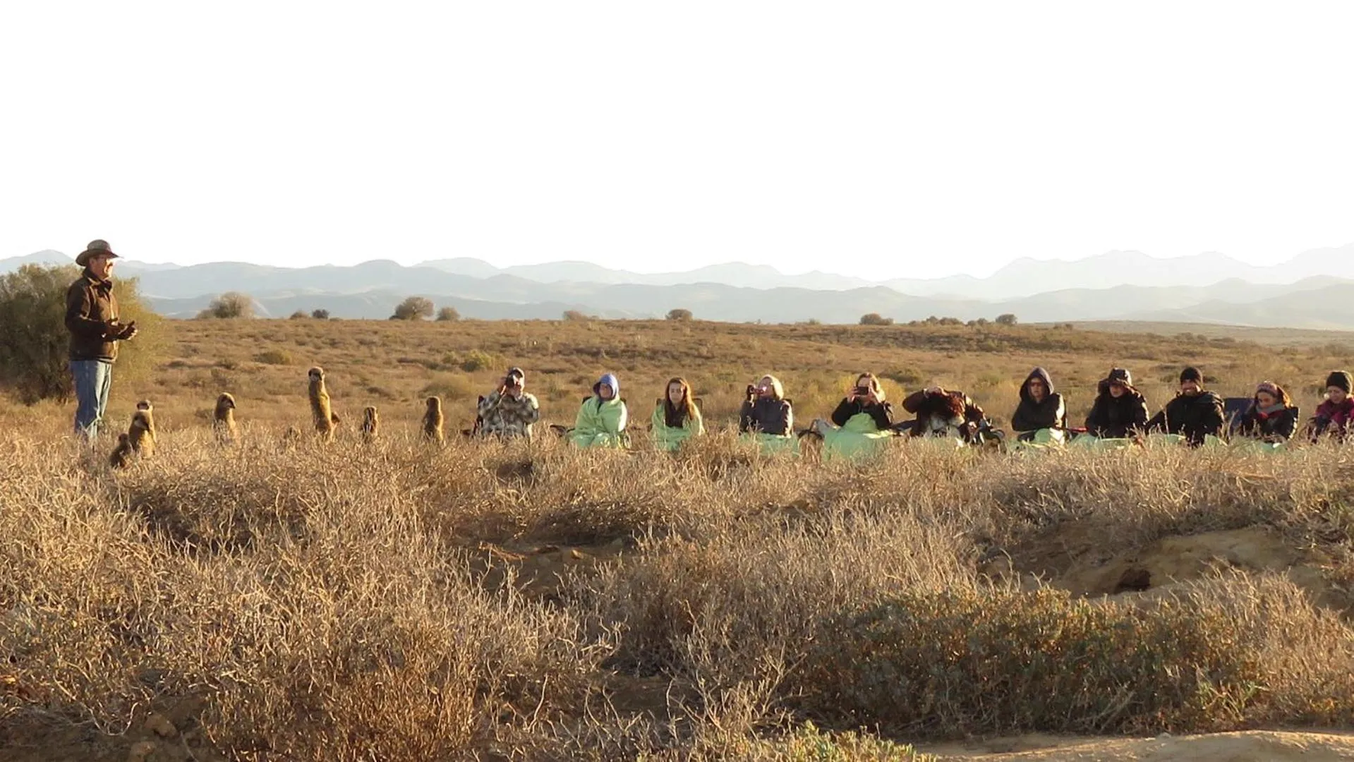 Animals in De Zeekoe Guest Farm