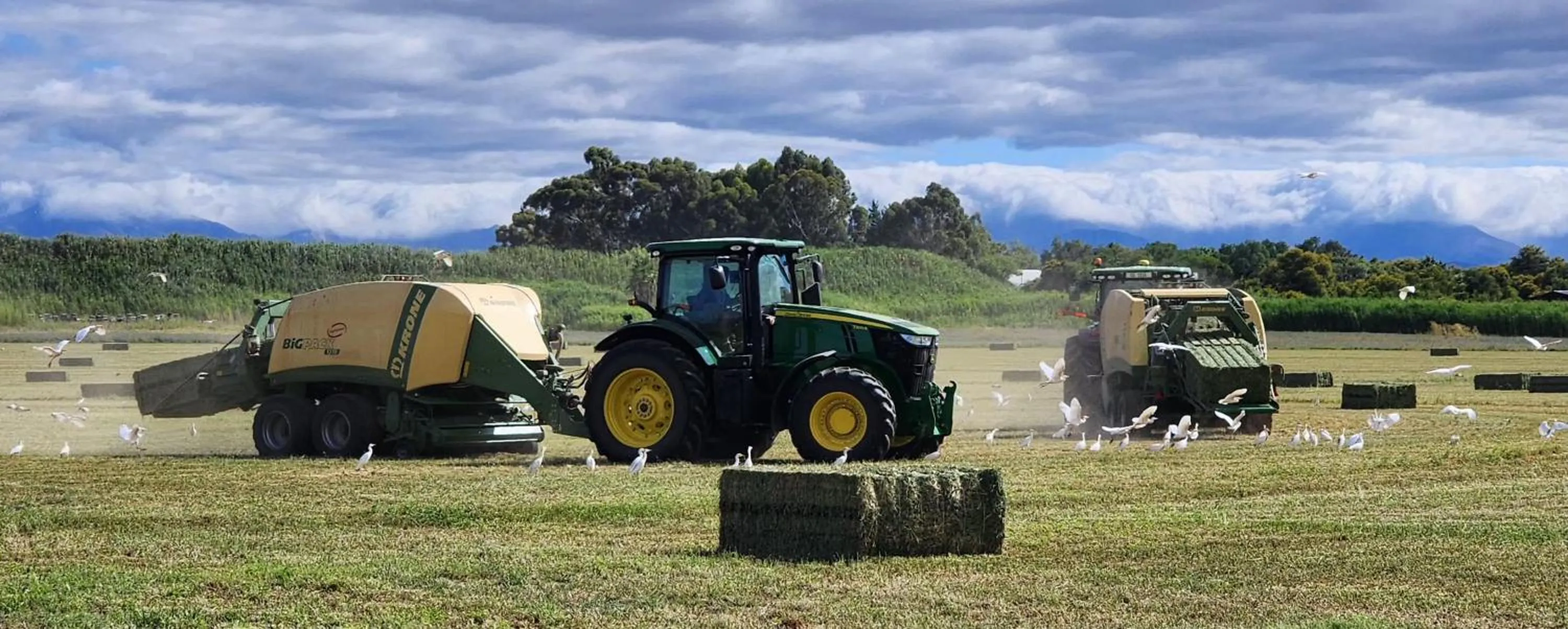 View (from property/room) in De Zeekoe Guest Farm