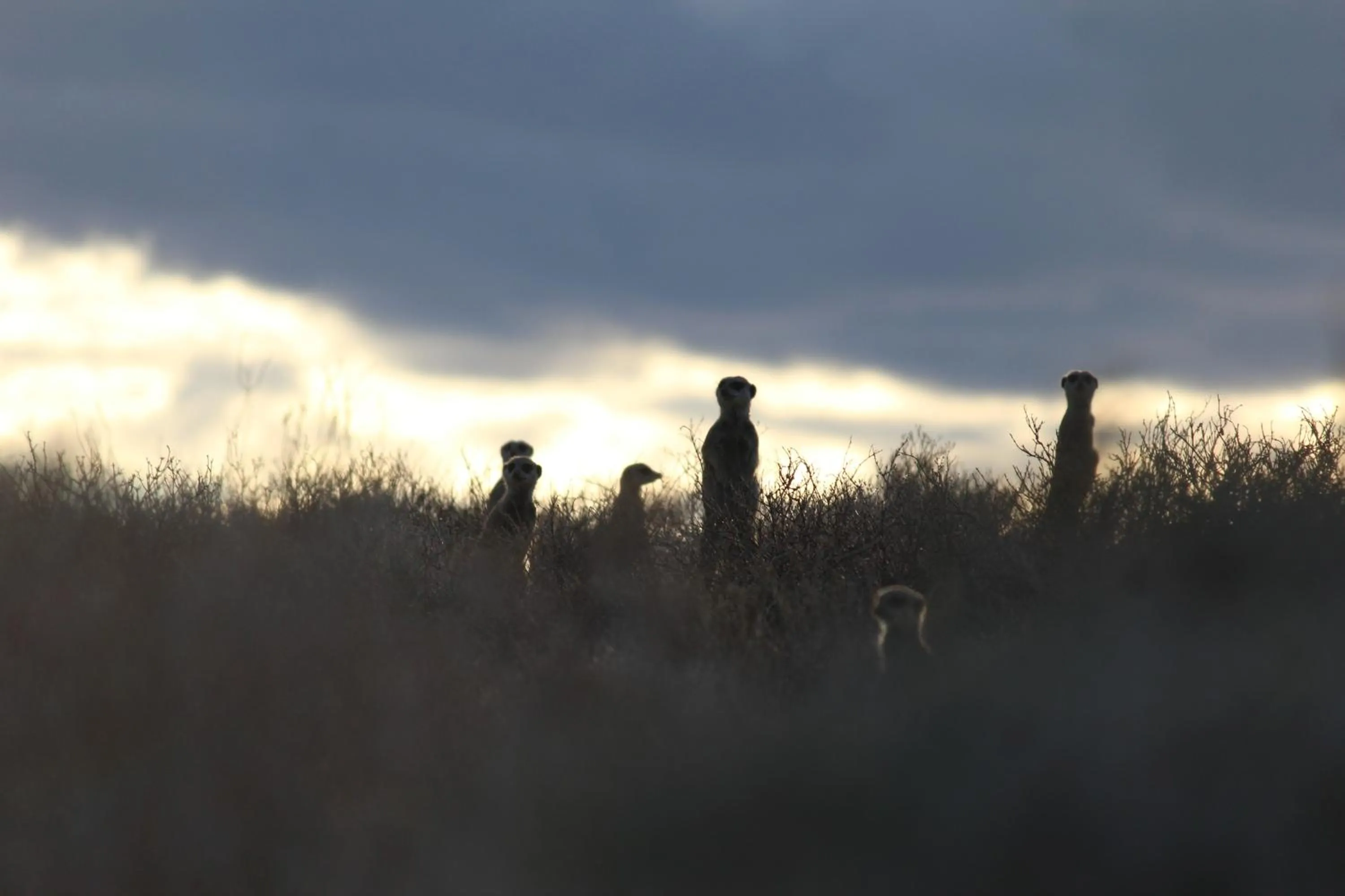 Activities in De Zeekoe Guest Farm