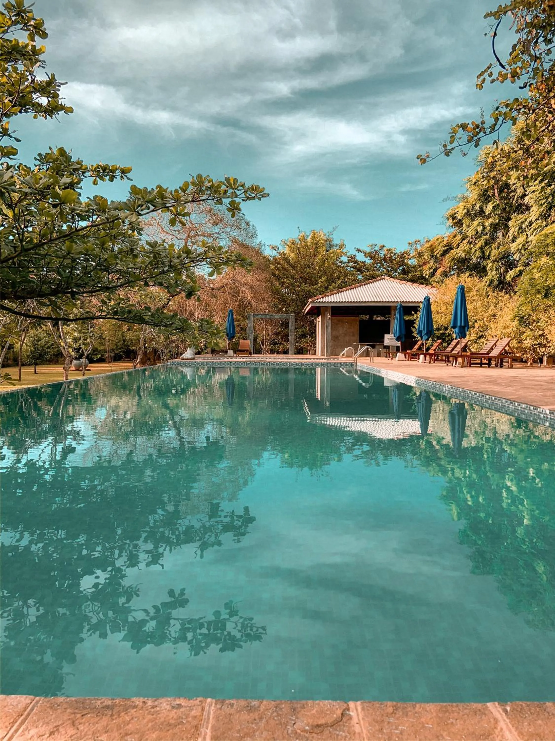 Swimming pool in Amaara Forest Hotel Sigiriya