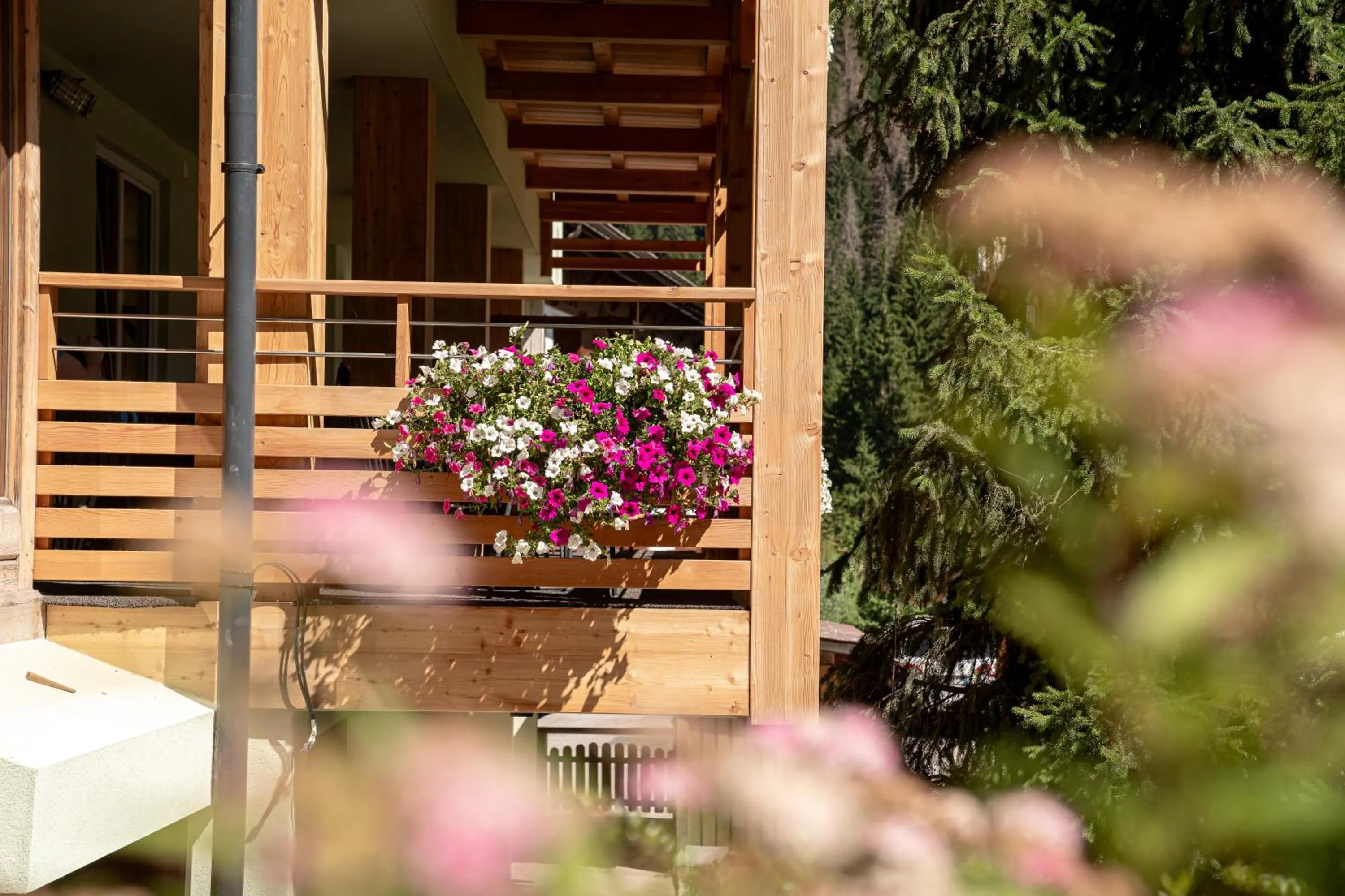 Albergo Garni Edy (B&B)