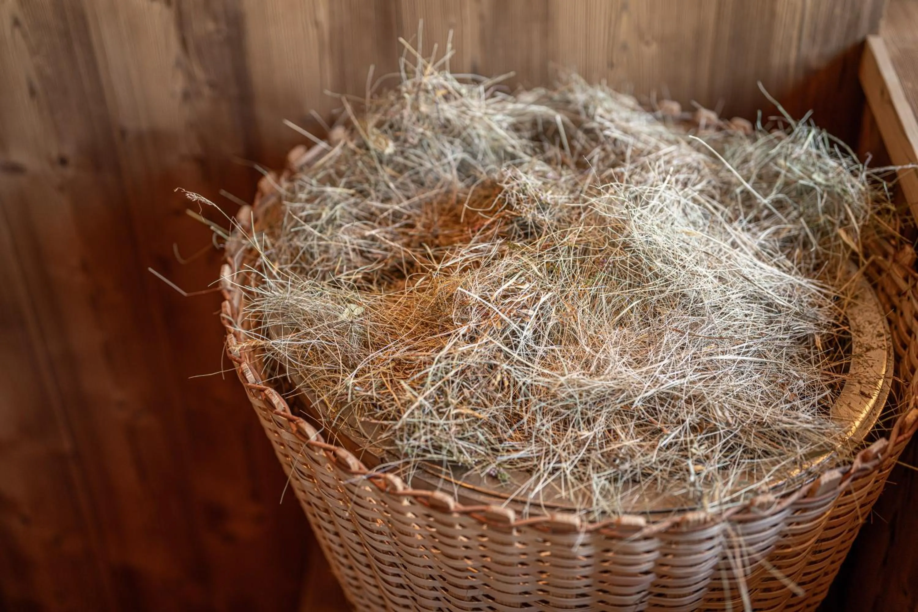 Albergo Garni Edy (B&B)