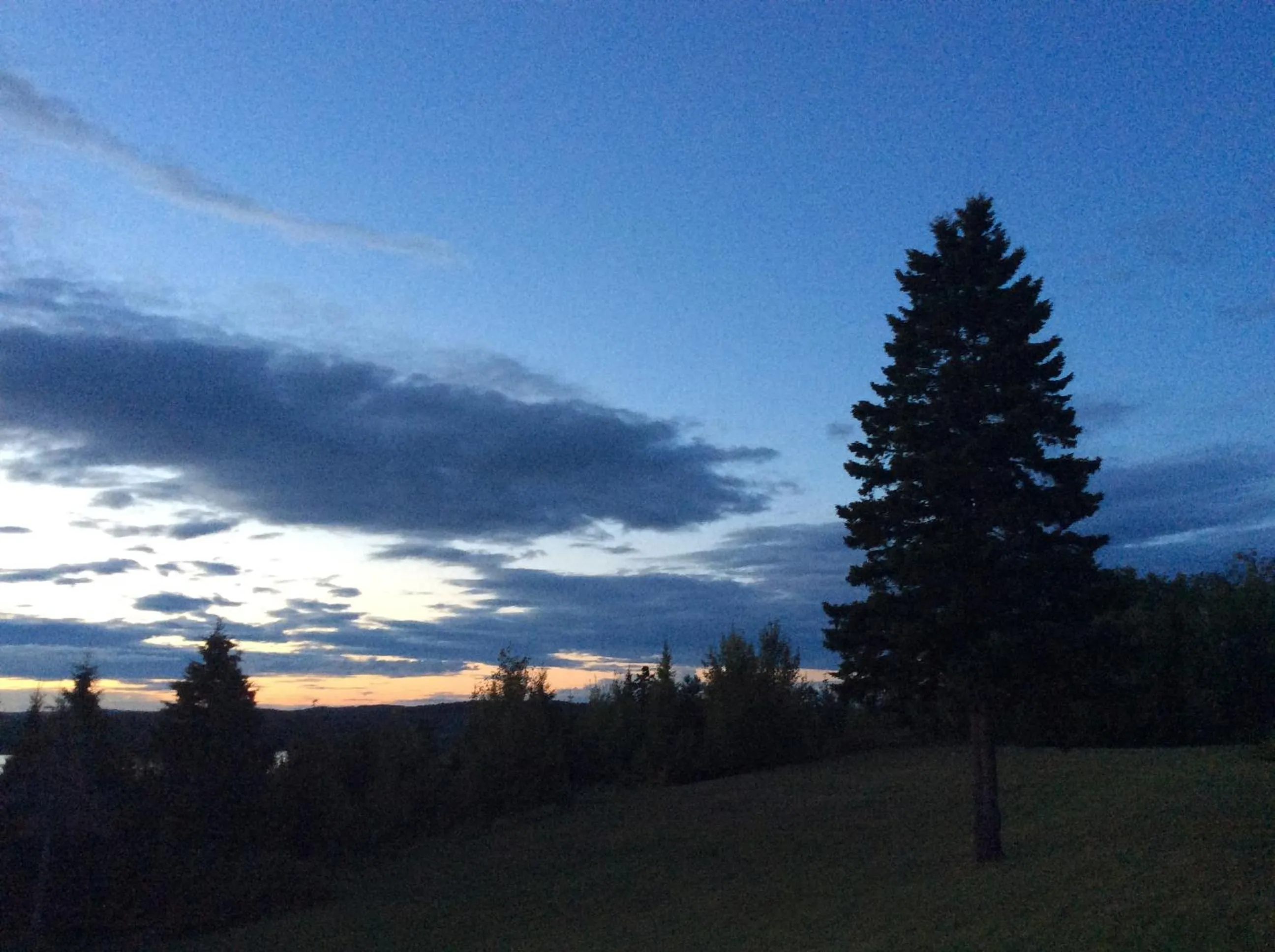 Garden in Auberge Motel Panorama