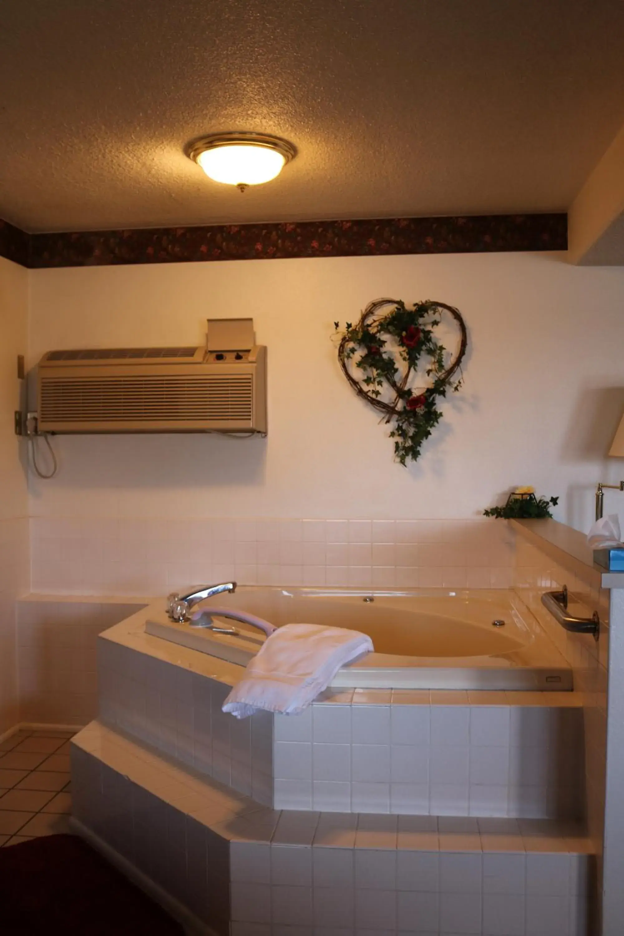 Suite with Hot Tub in Dakota Inn Suite with Hot Tub in Dakota Inn