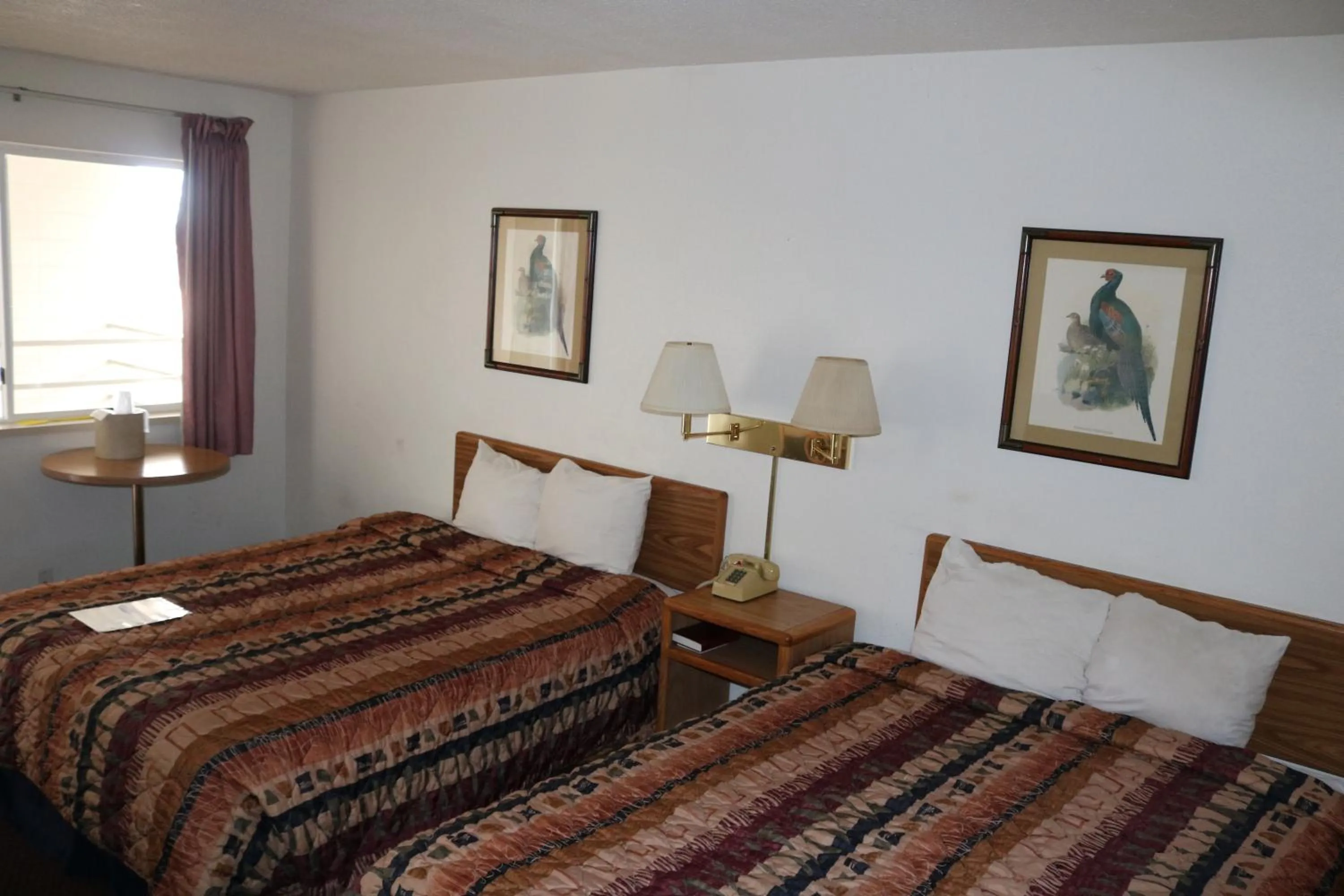 Bed in Dakota Inn