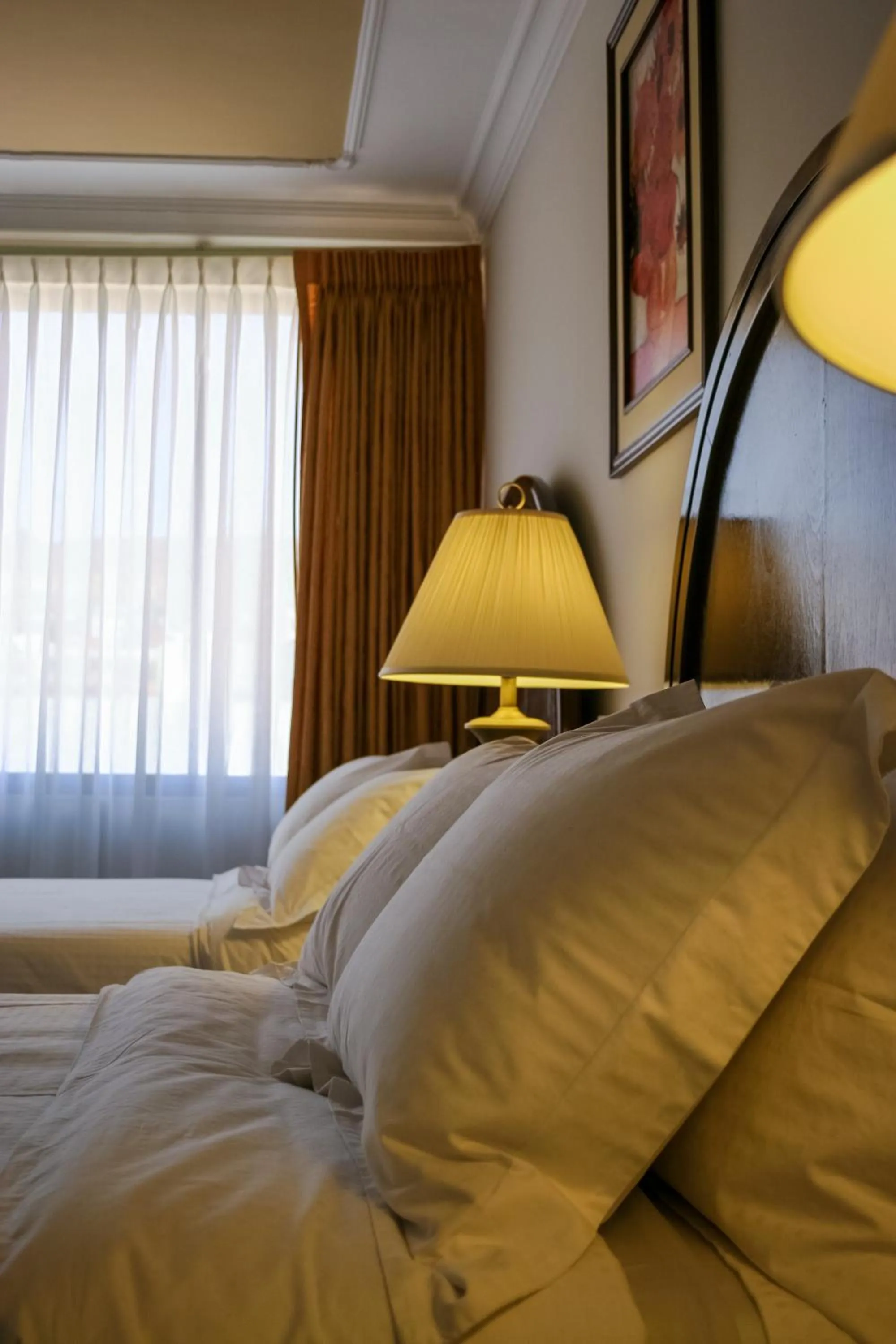 Day in Hotel Coloso Potosi