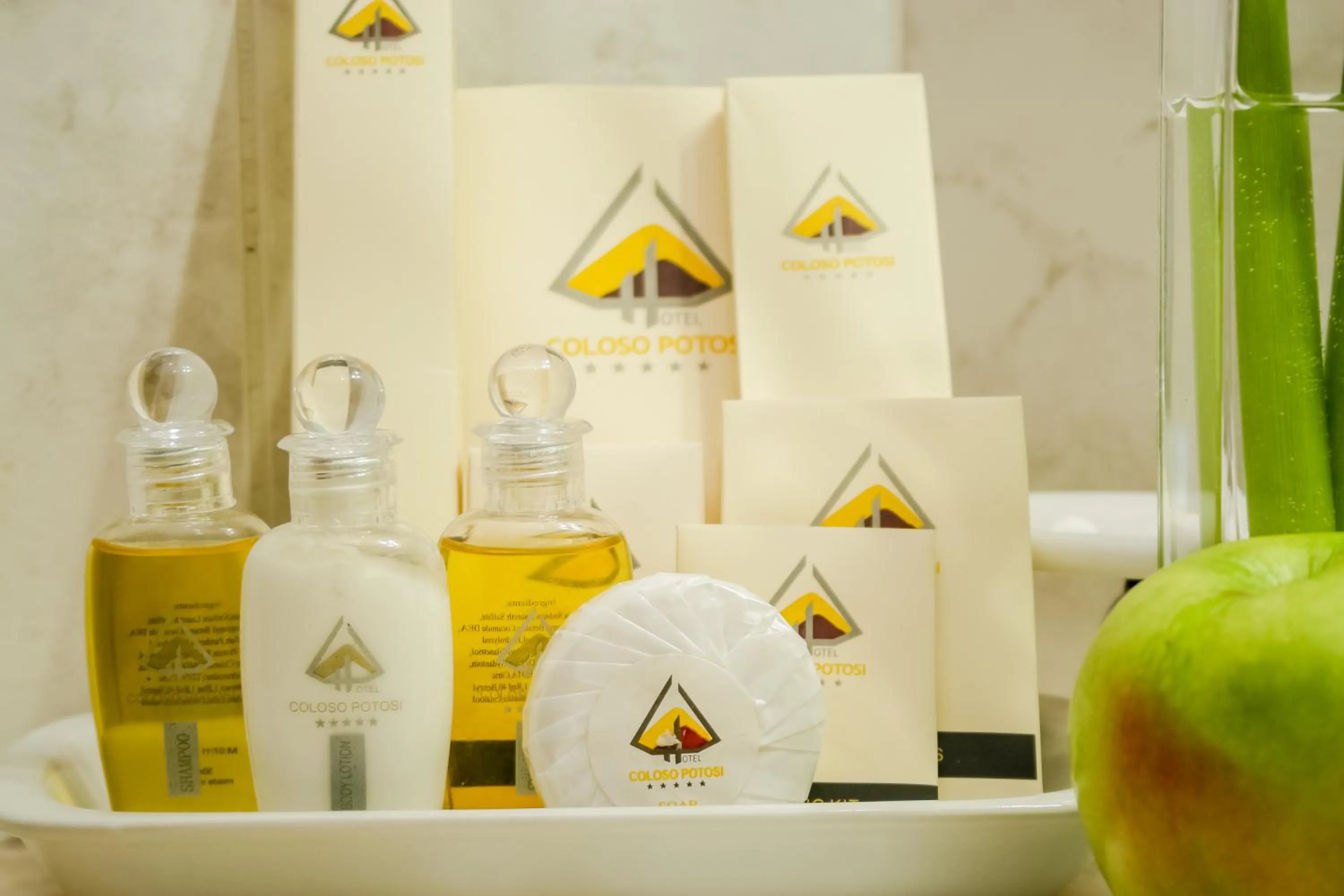 Other in Hotel Coloso Potosi