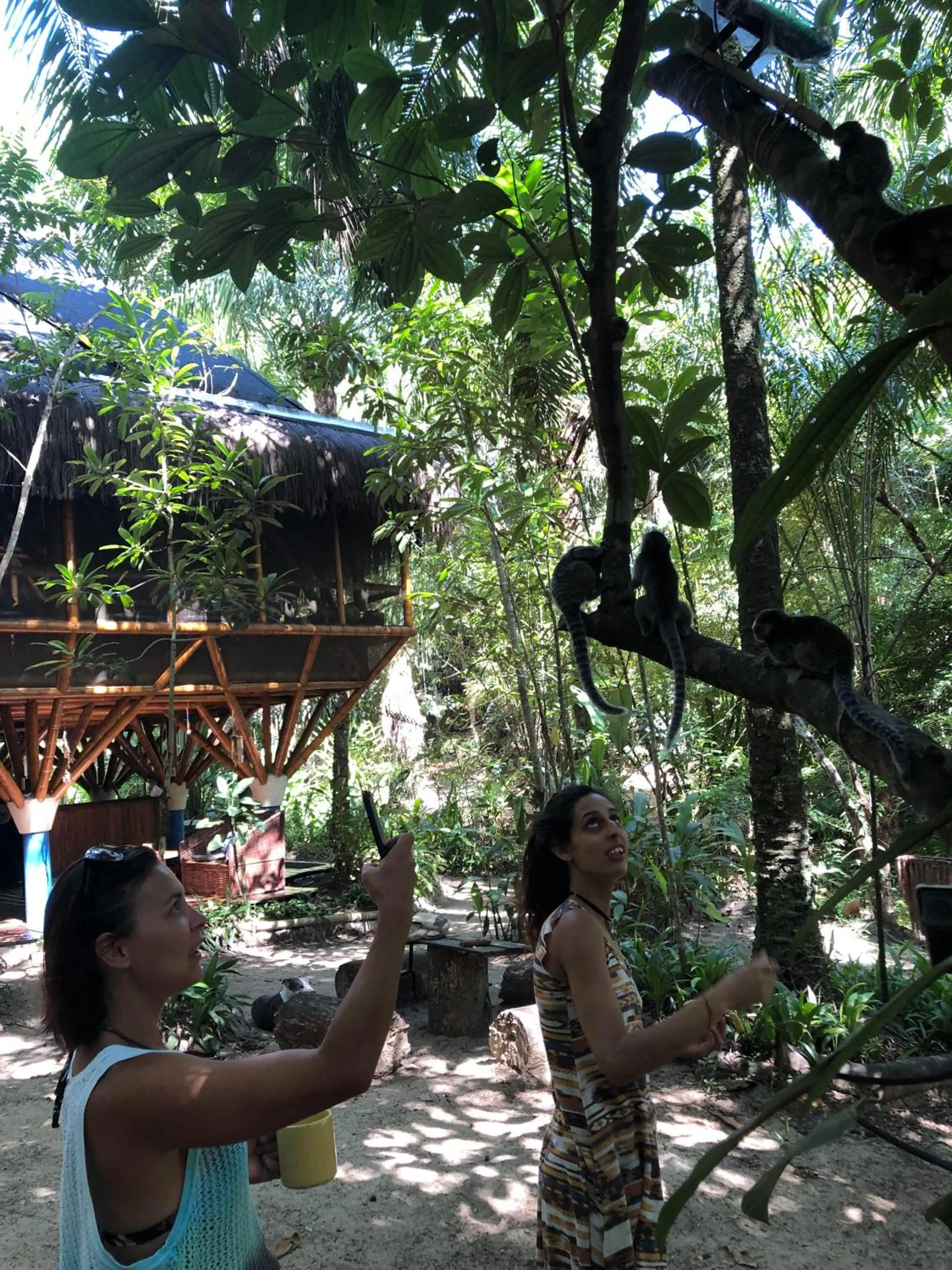 Animals in Universo Pol Bamboo Hostel