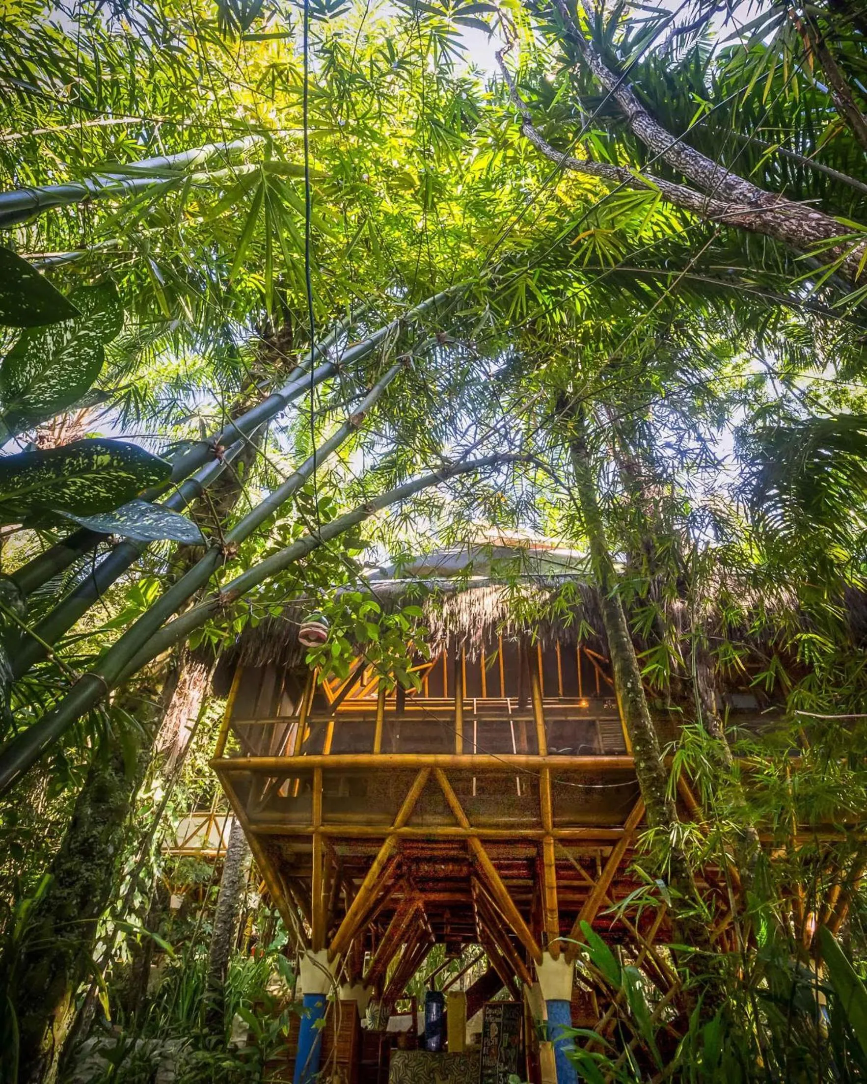Communal kitchen in Universo Pol Bamboo Hostel