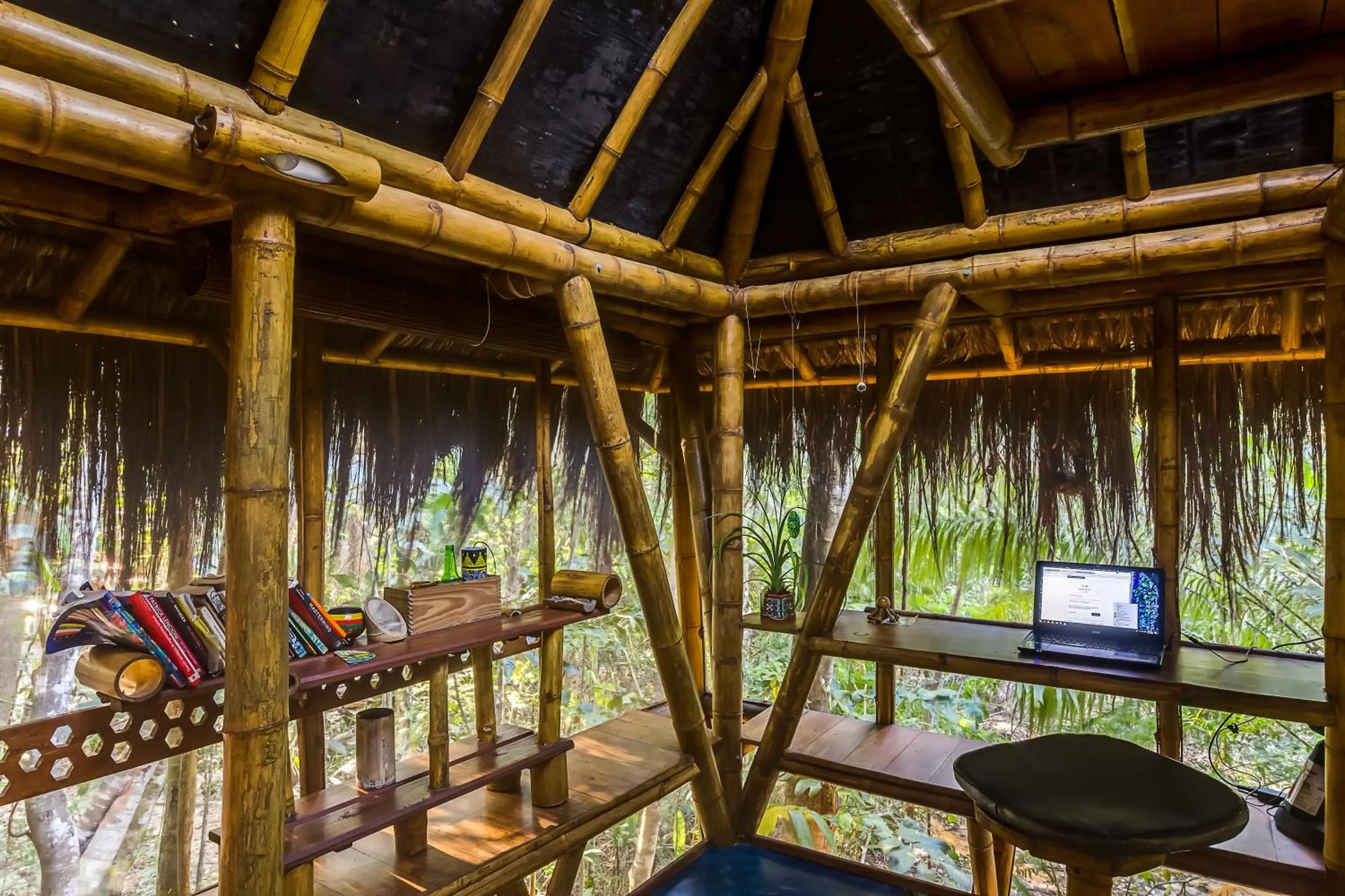 Garden view in Universo Pol Bamboo Hostel