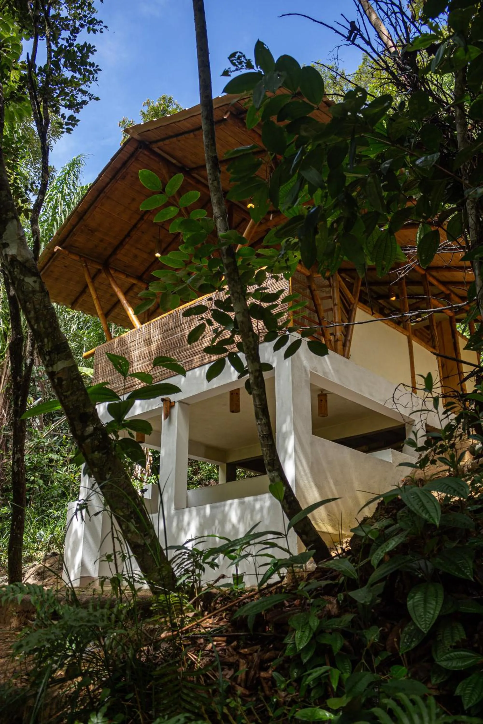 Natural landscape in Universo Pol Bamboo Hostel