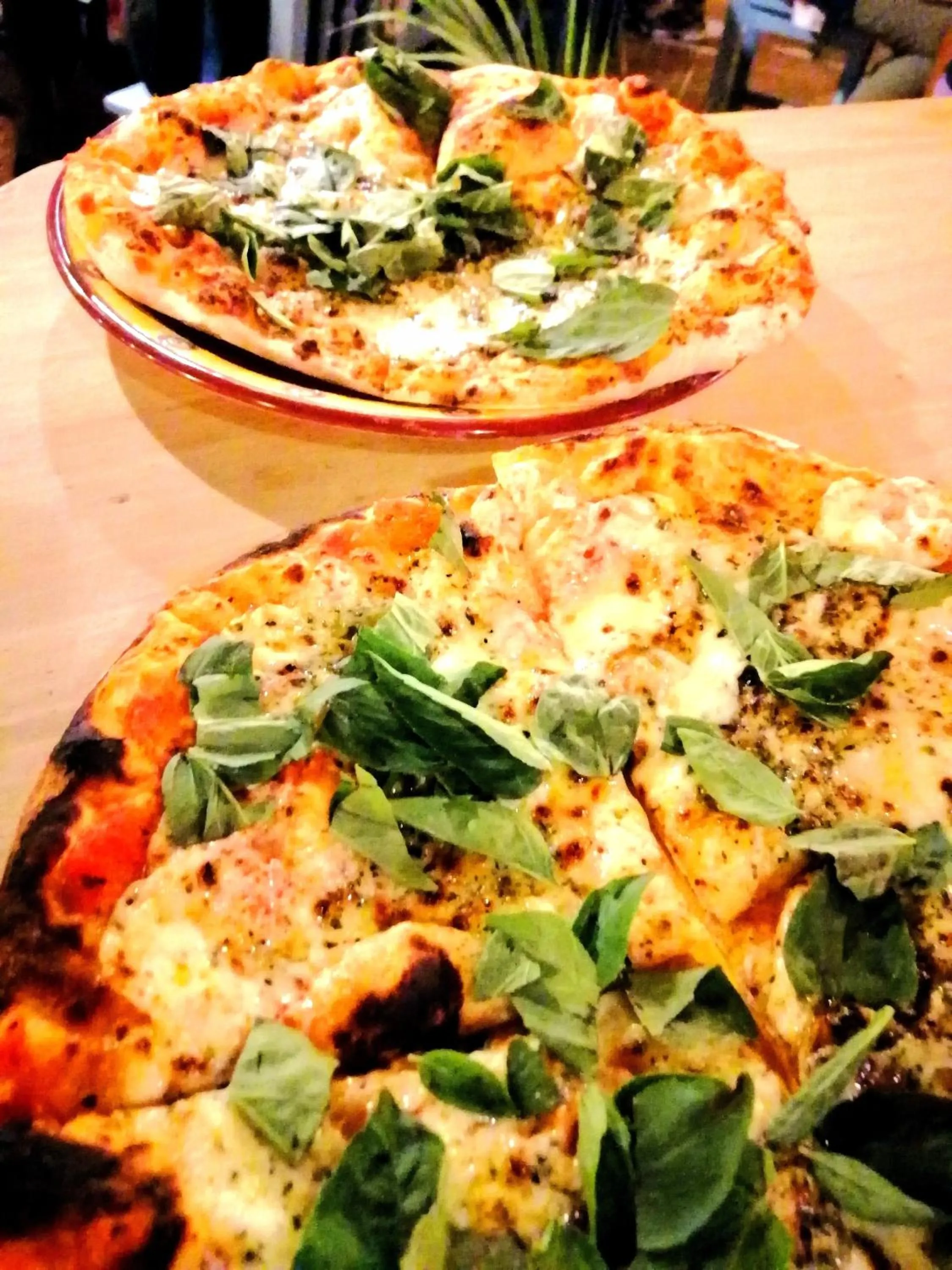 Restaurant/places to eat in Hotel Doña Esther