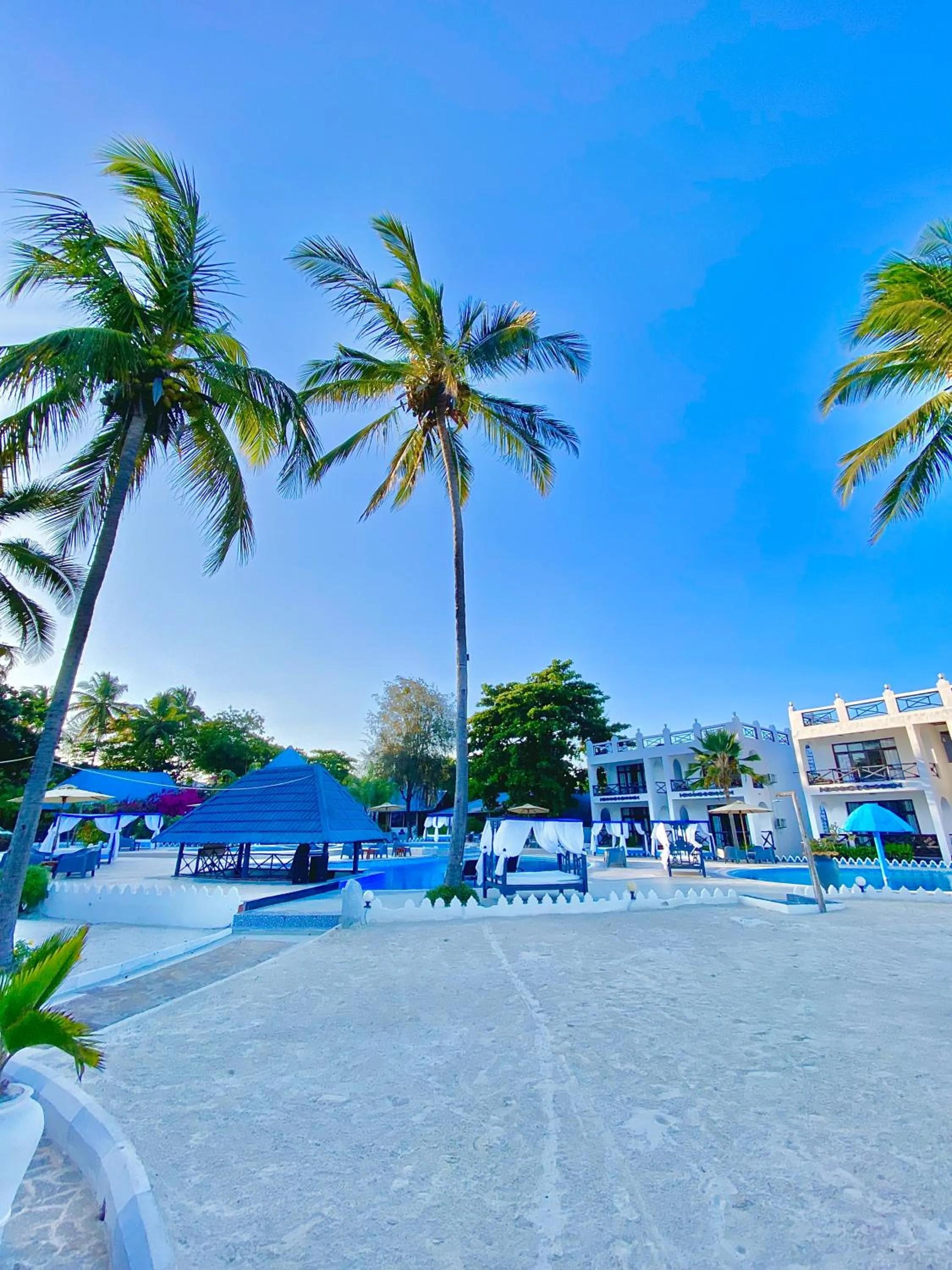 Swimming pool in Protels La Plage