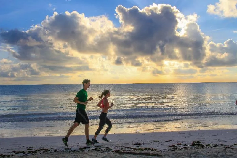 Beach in Protels La Plage
