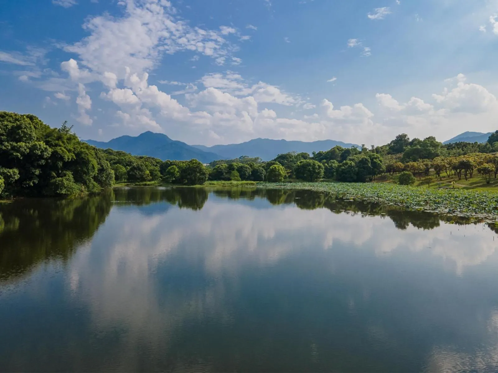 Lake view in Carp Islet Resort Fuzhou