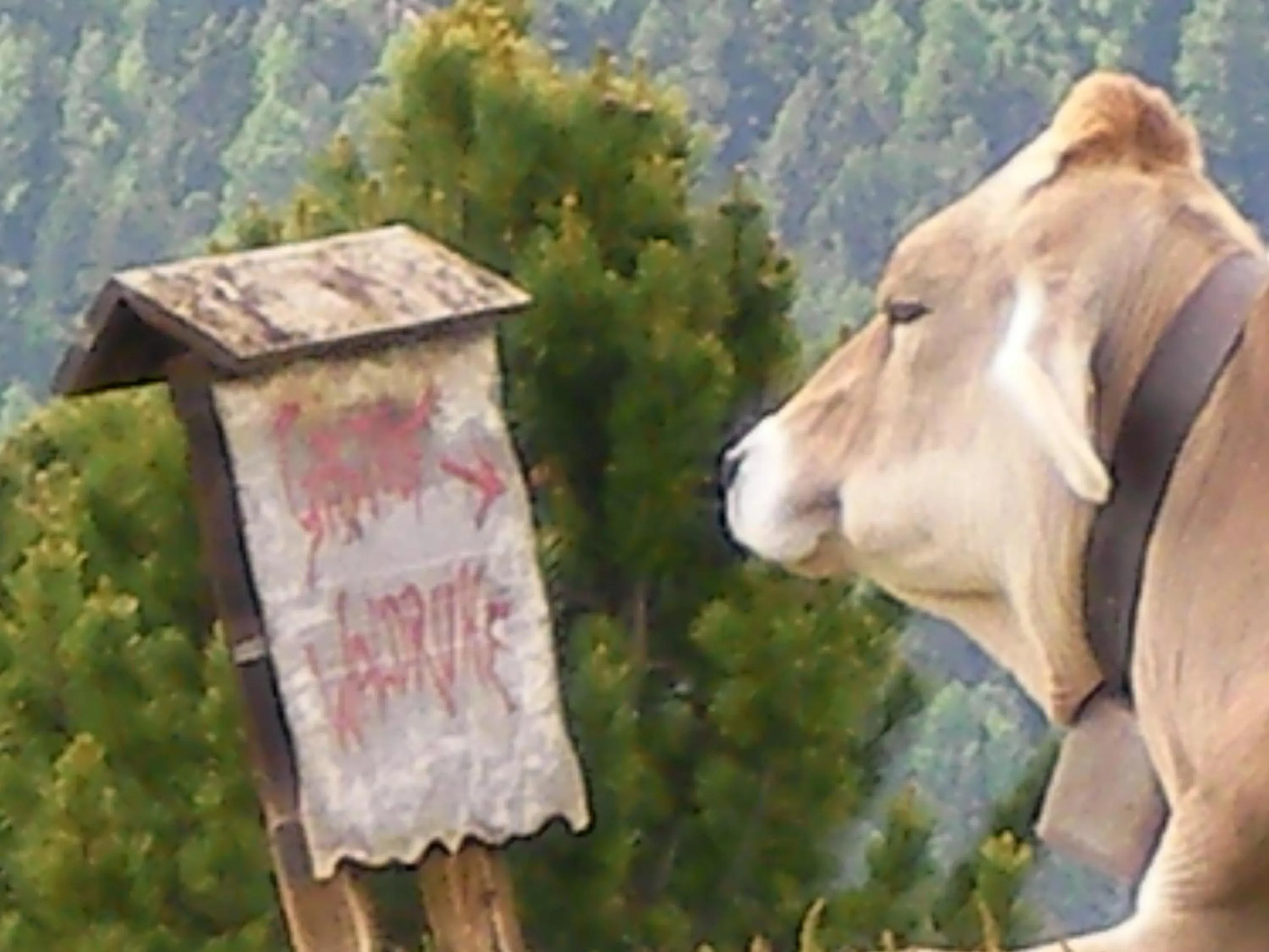 Animals in Gasthof Waldruhe