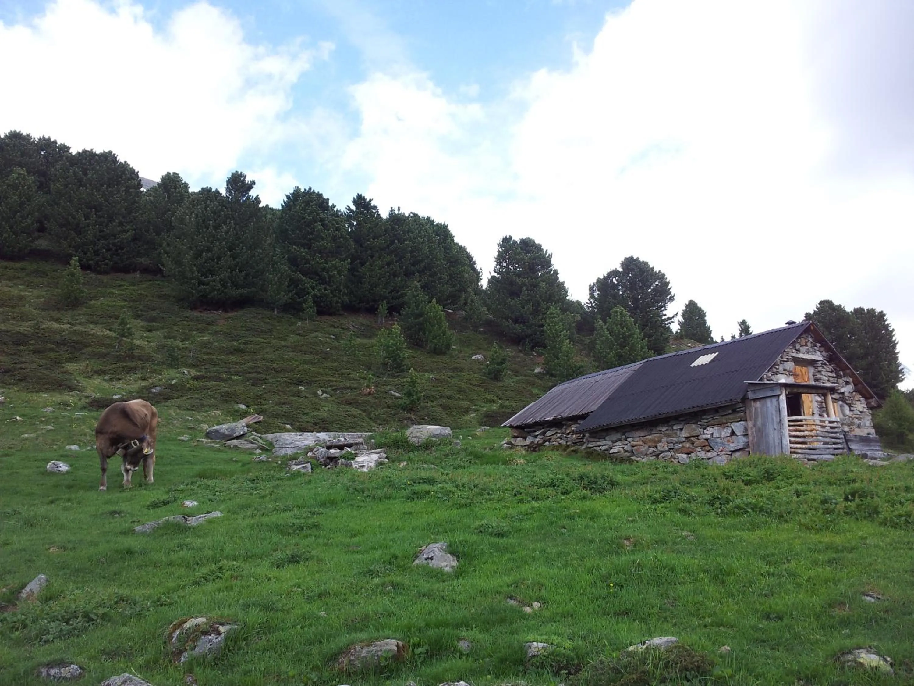 Natural landscape in Gasthof Waldruhe
