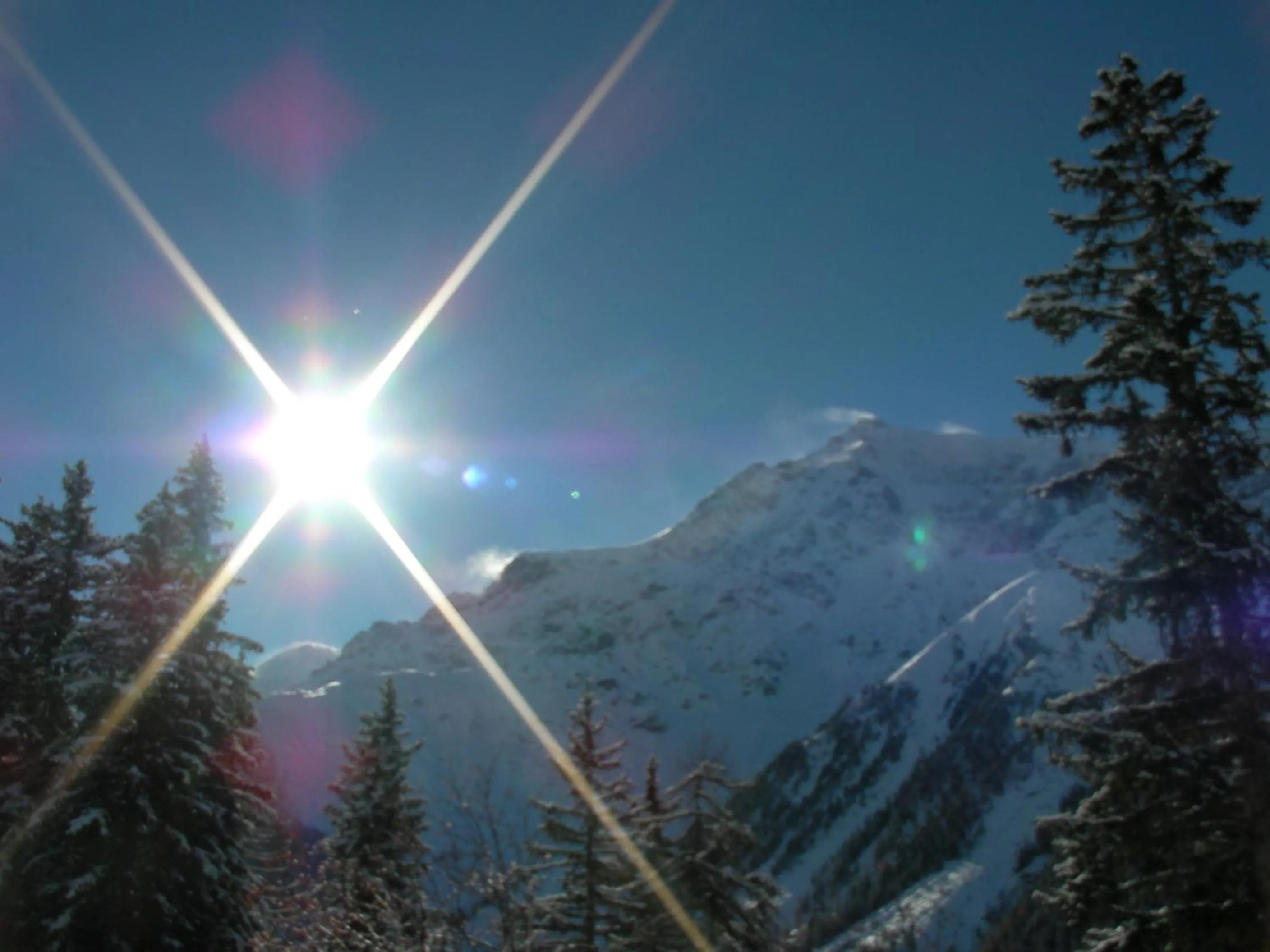 Mountain view in Gasthof Waldruhe