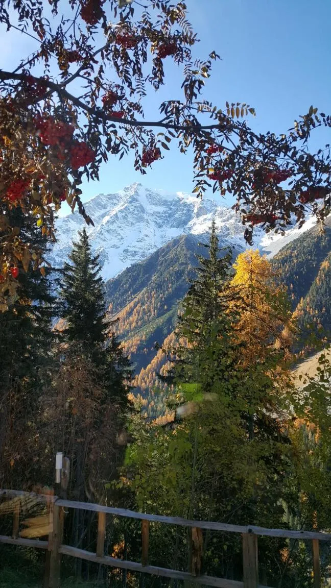 Day in Gasthof Waldruhe