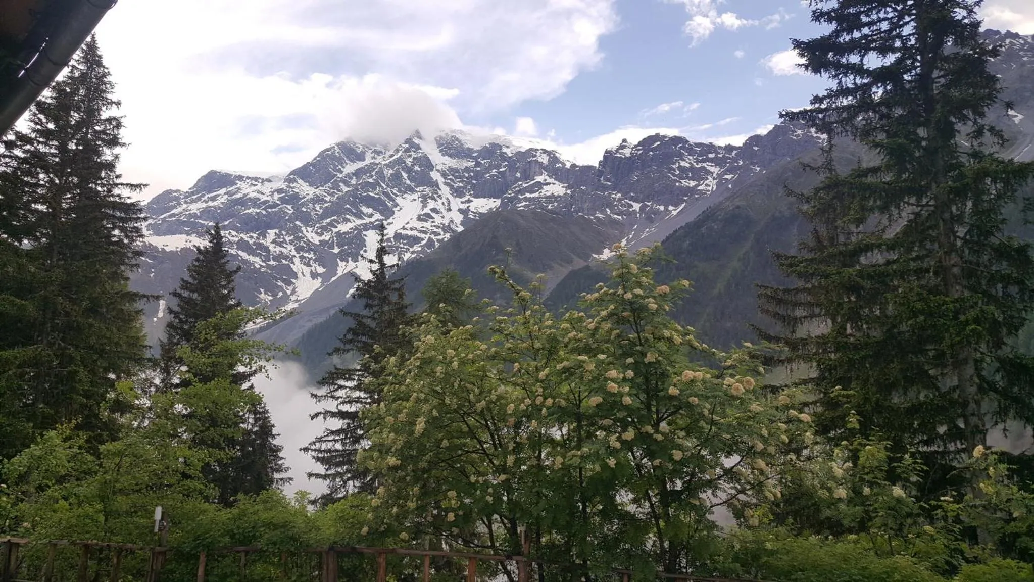 Spring in Gasthof Waldruhe