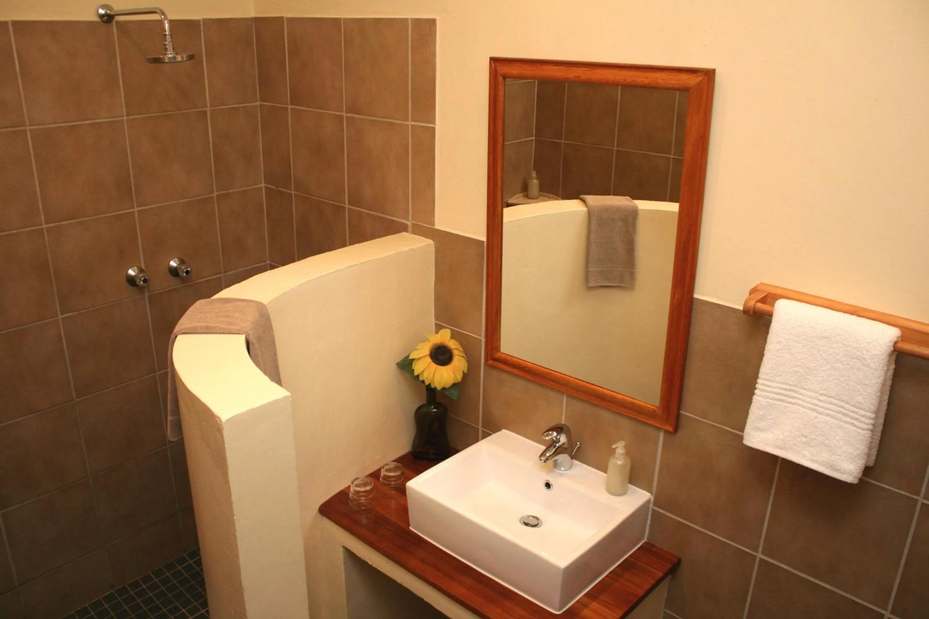 Shower in Avenues Guesthouse