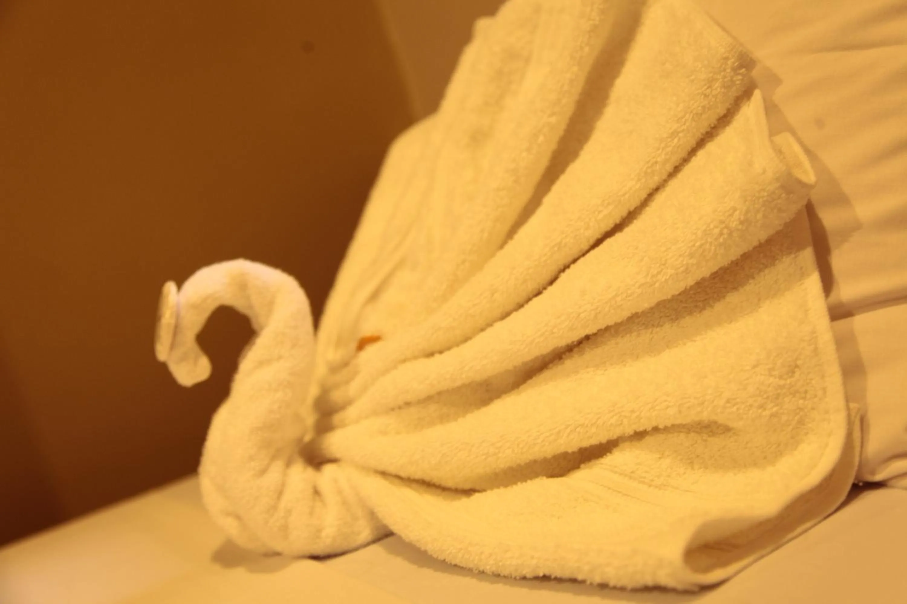 Decorative detail in Optimum Pension House