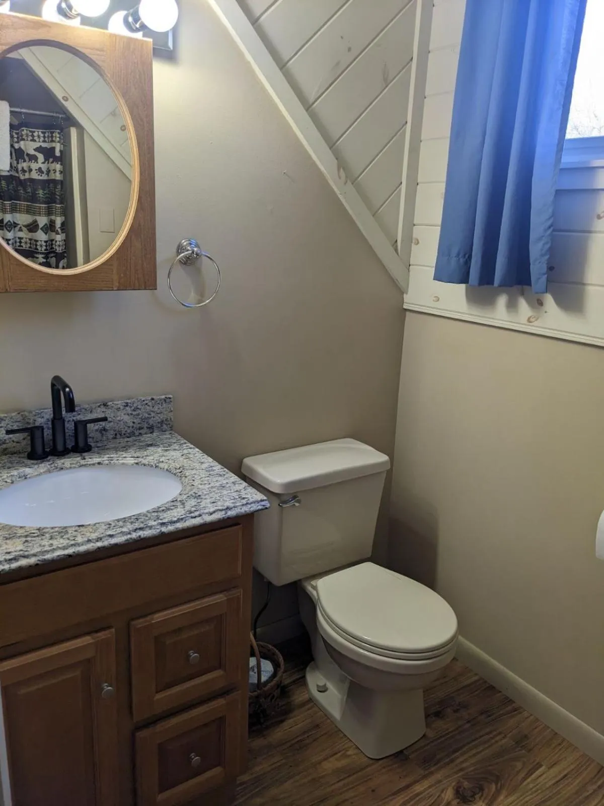 Shower in Rough Cut Lodge