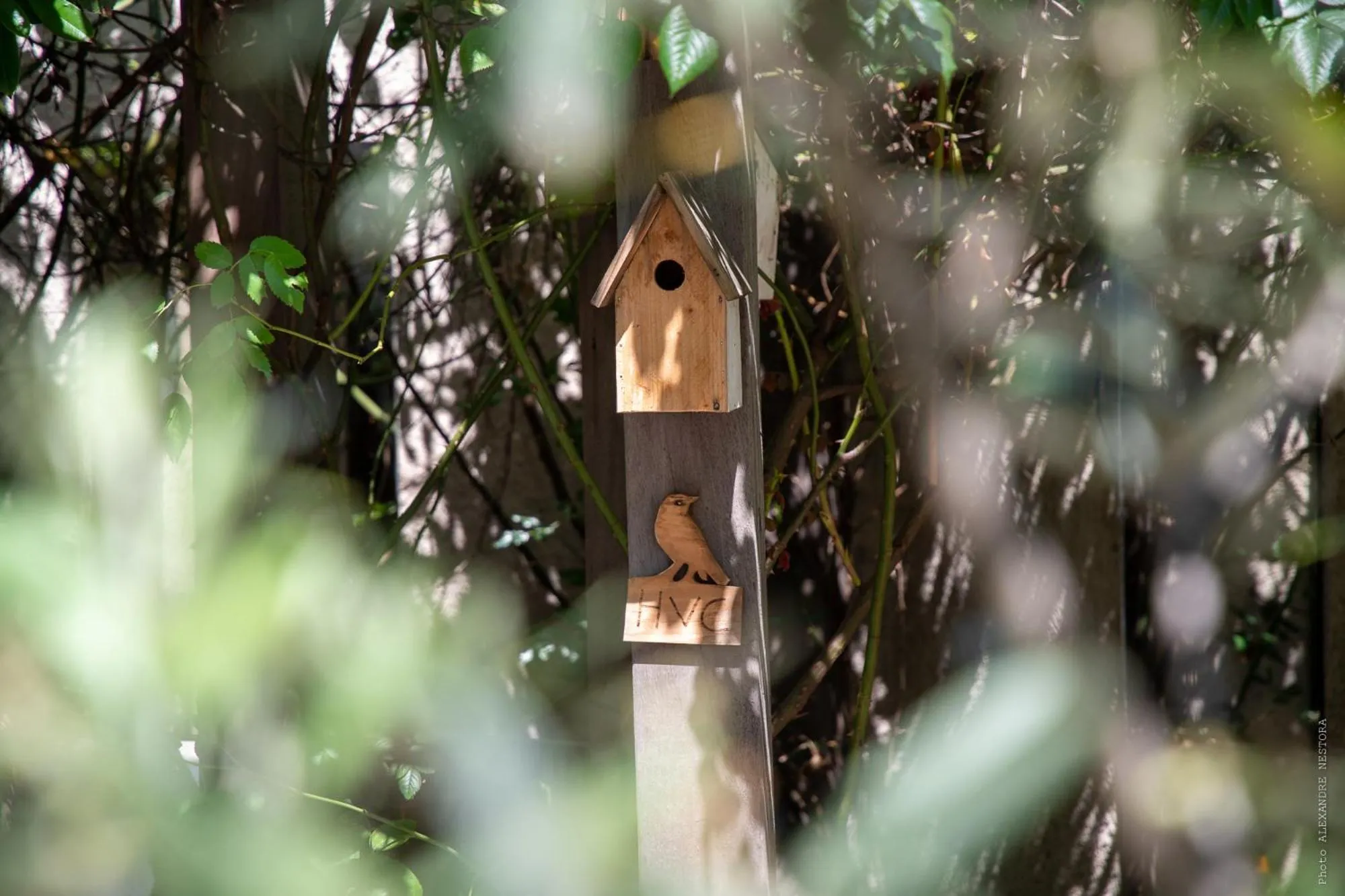 Garden view in Hôtel Versailles Chantiers