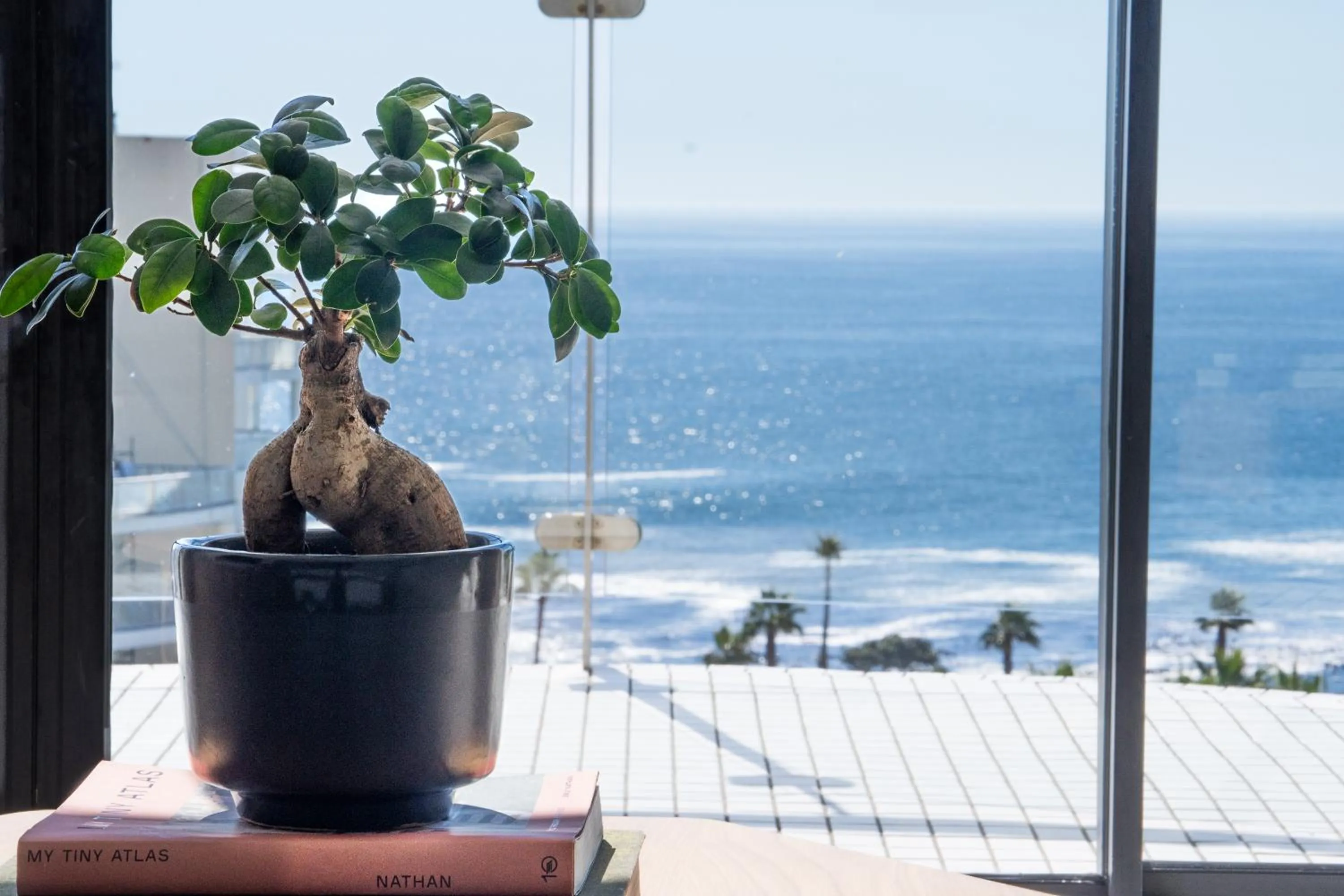 View (from property/room) in President Hotel