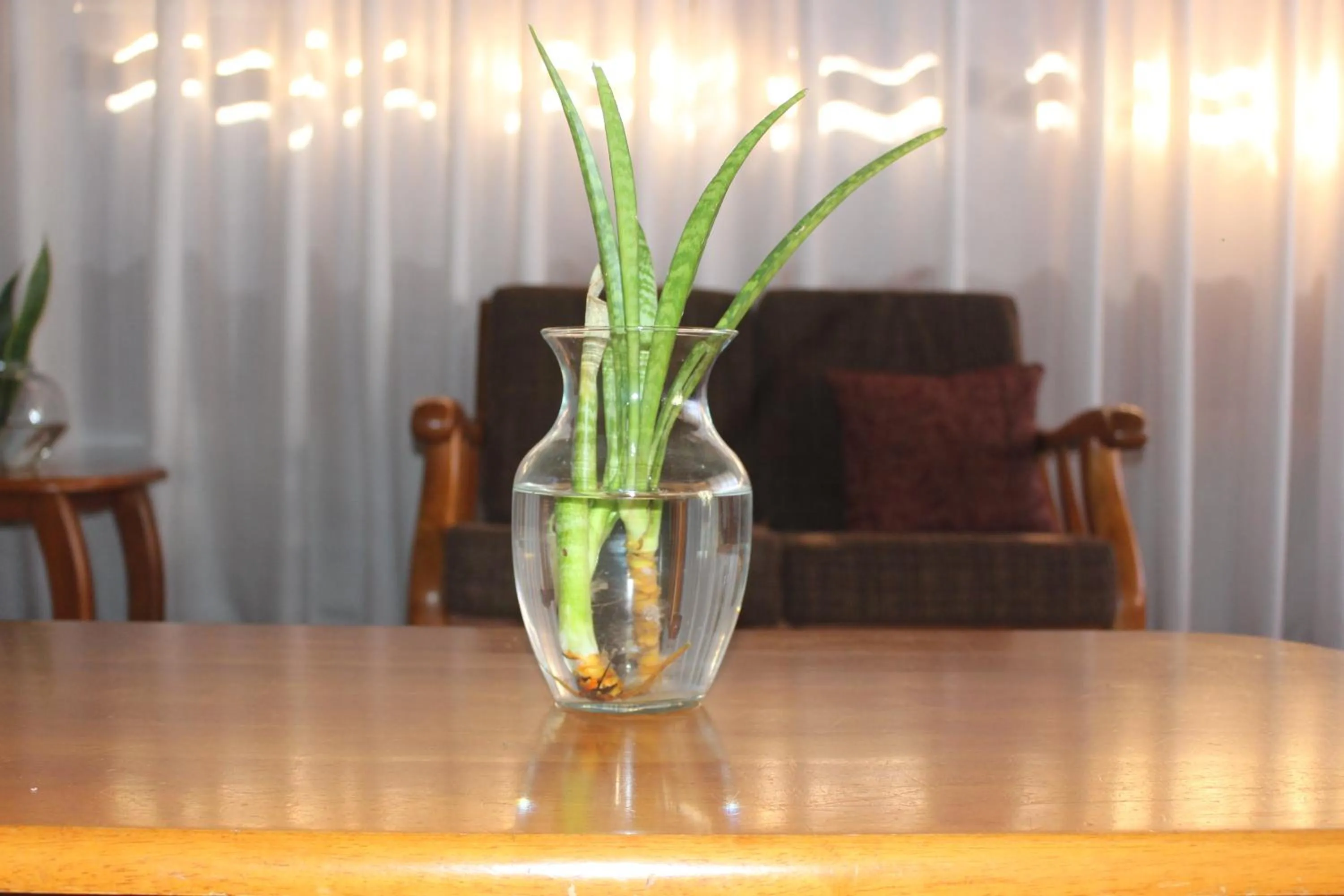 Decorative detail in Montane Safaris Hotel, Entebbe