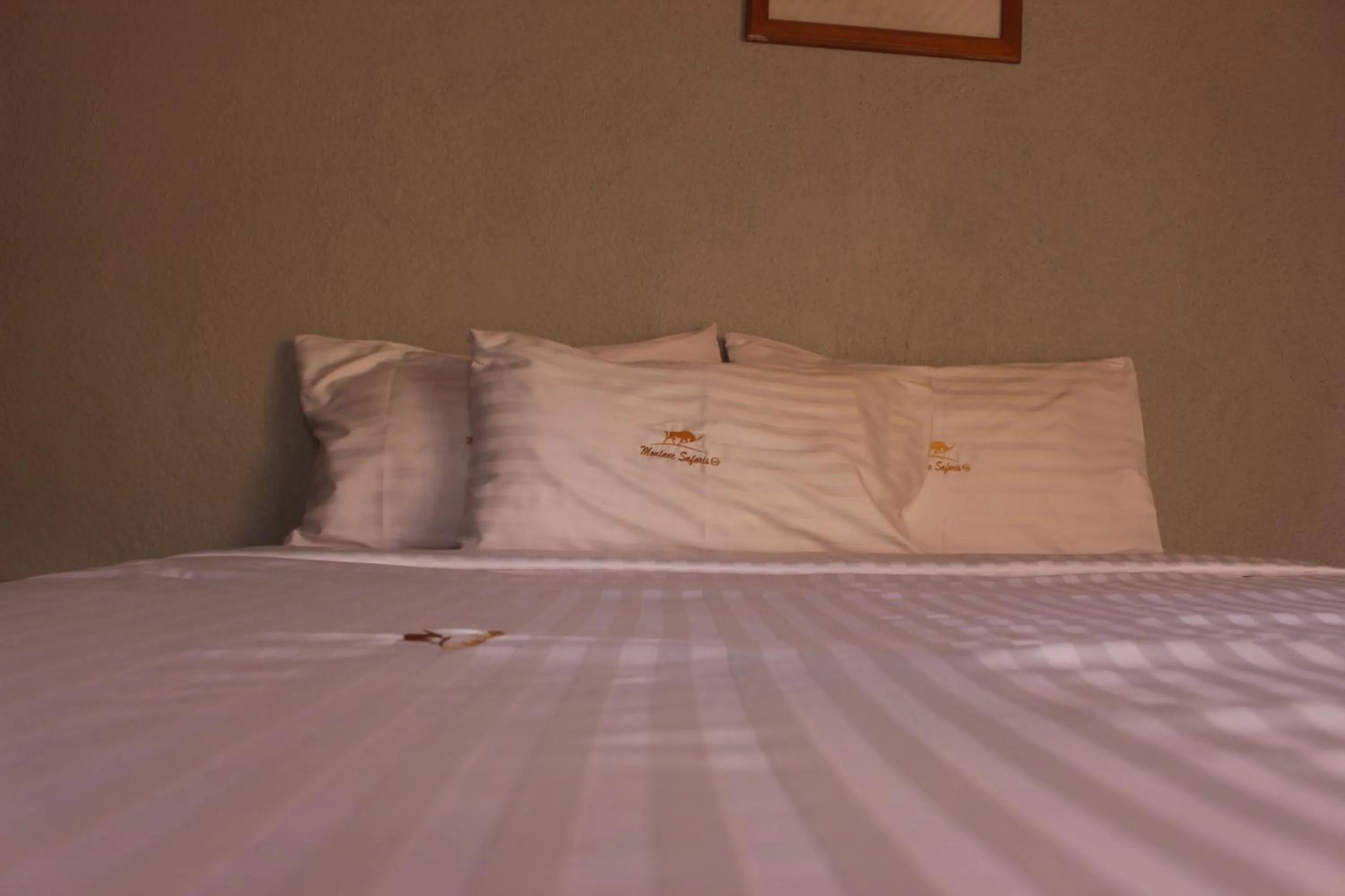 Bed in Montane Safaris Hotel, Entebbe