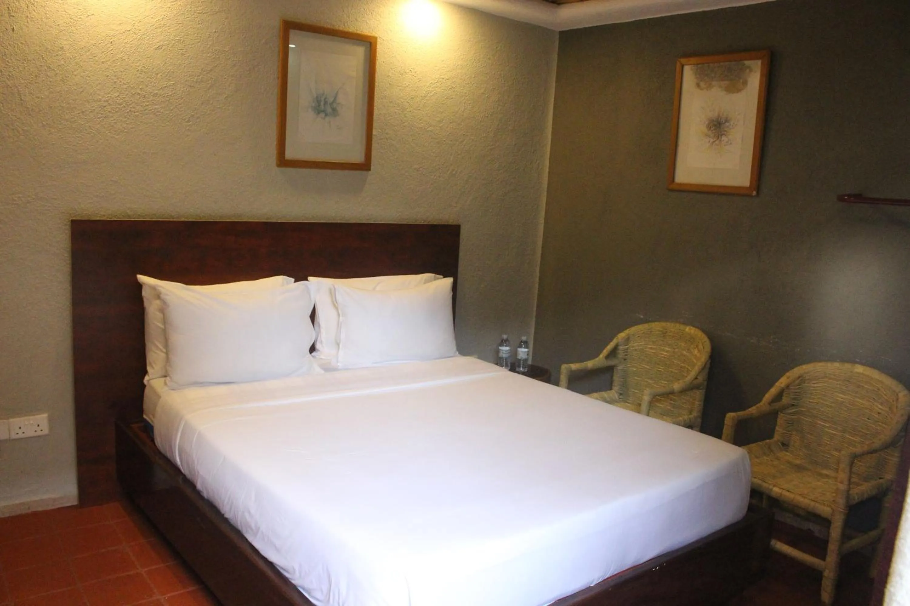 Standard Studio - single occupancy in Montane Safaris Hotel, Entebbe