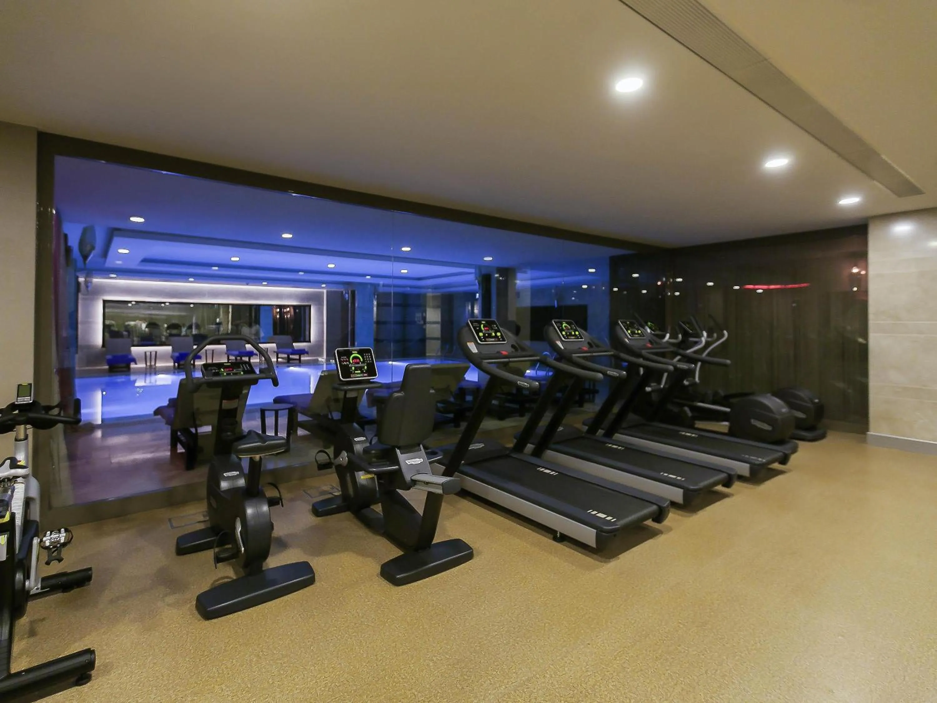 Fitness centre/facilities in Novotel Diyarbakir