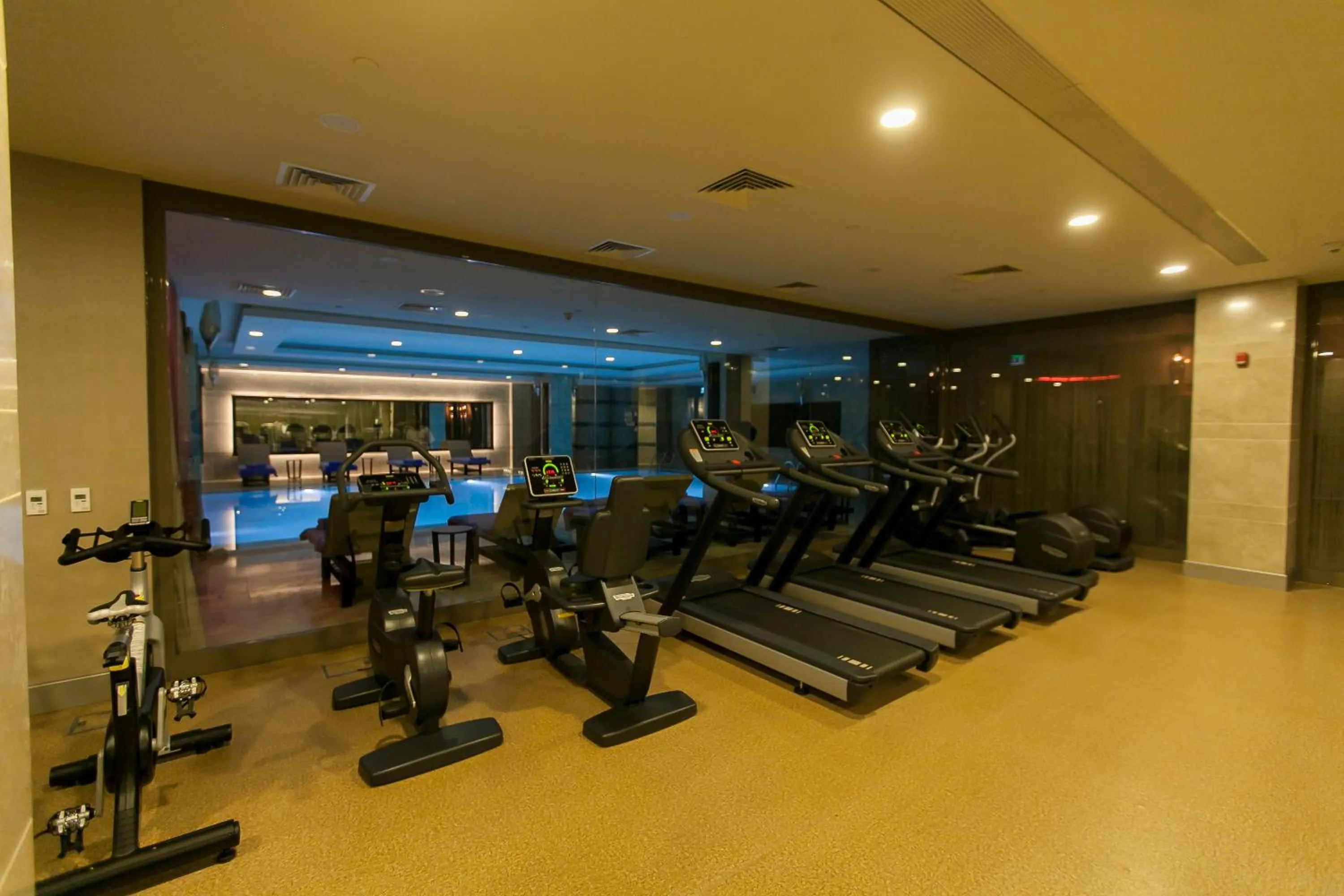 Fitness centre/facilities in Novotel Diyarbakir
