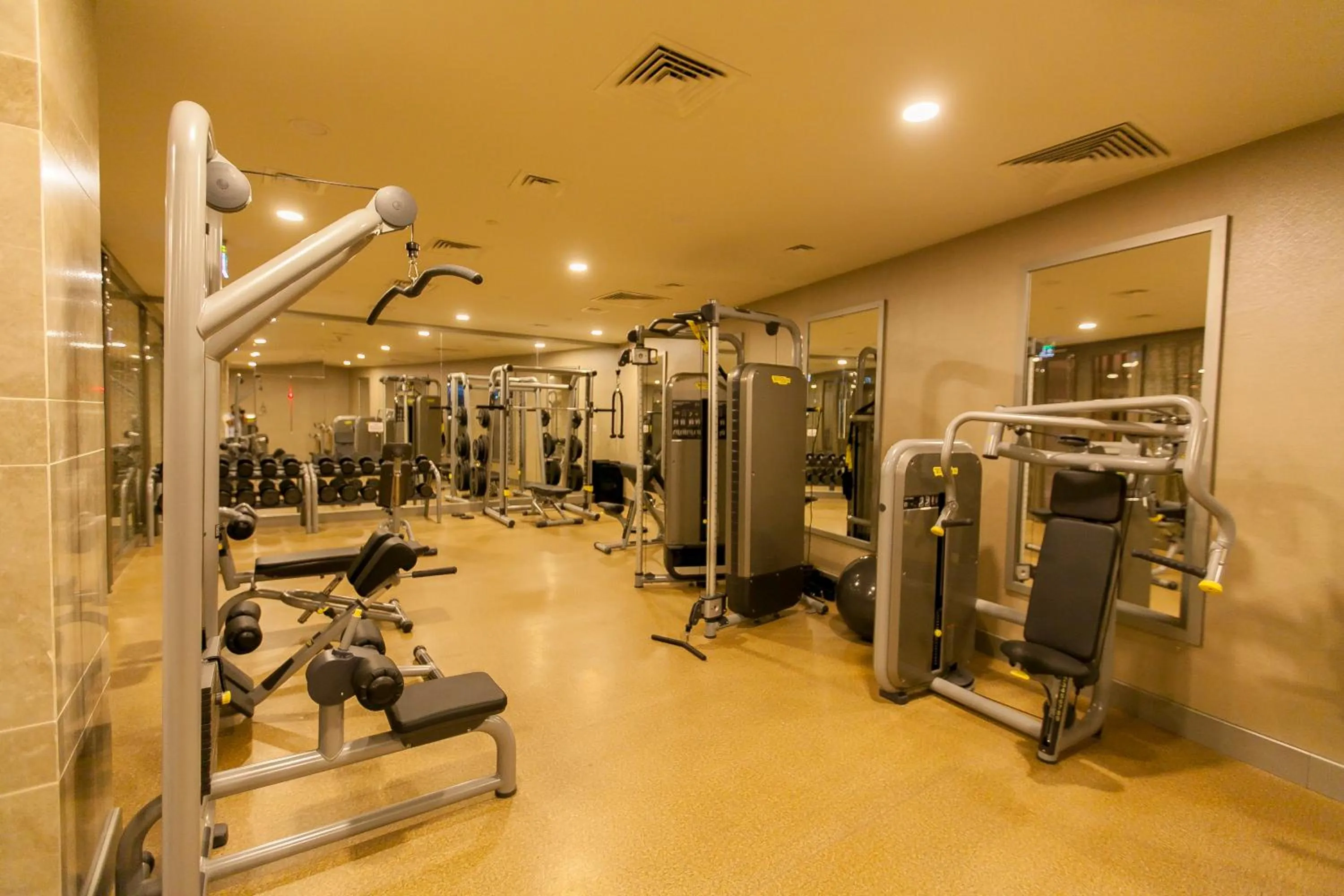 Fitness centre/facilities in Novotel Diyarbakir