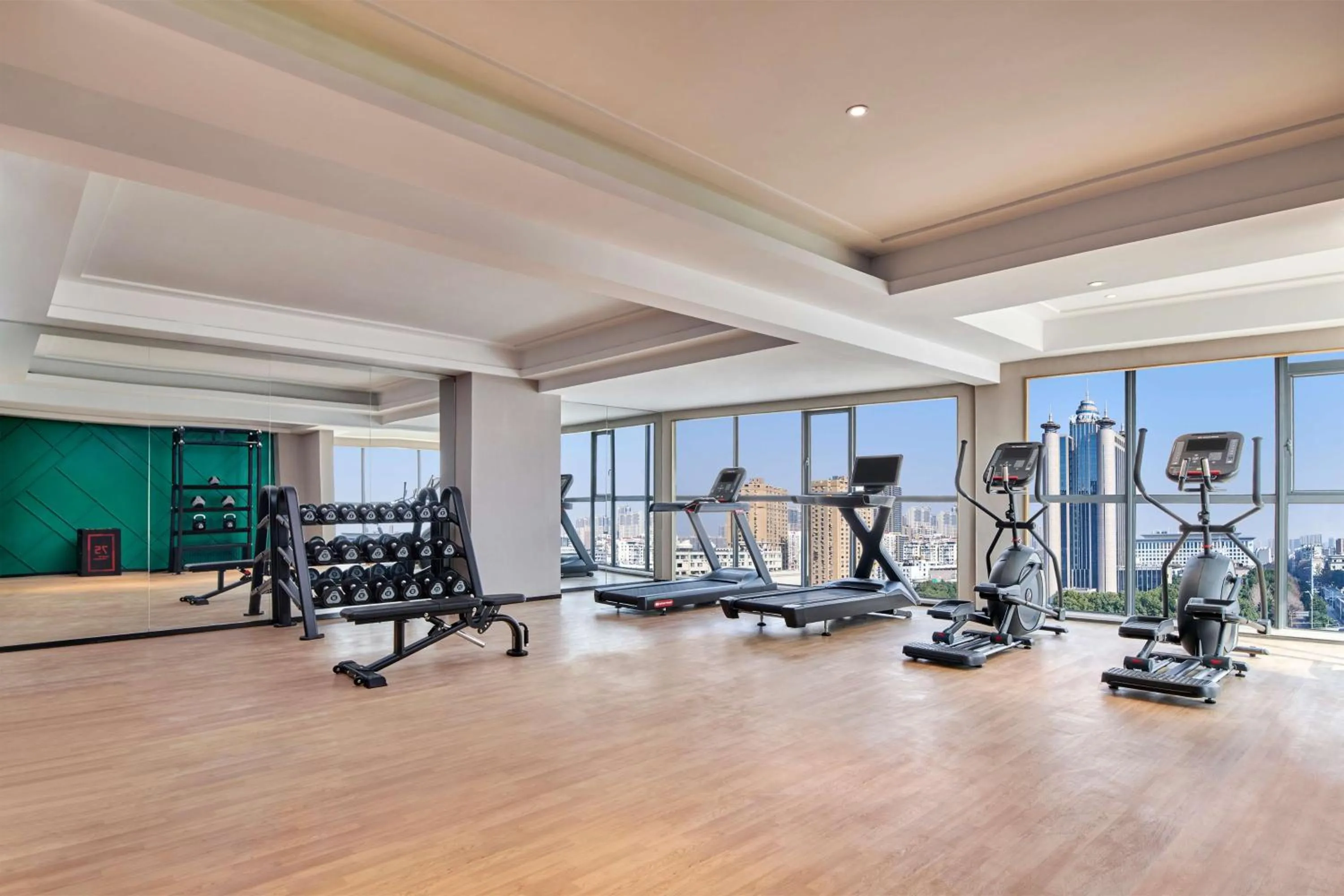 Fitness centre/facilities, Fitness Center/Facilities in Mercure Wuhan Changqing Park